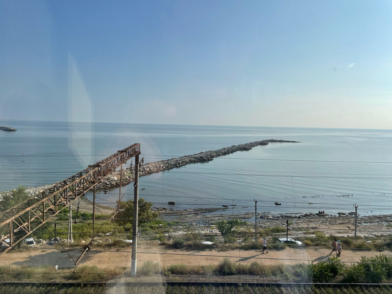 Фото Берёзка