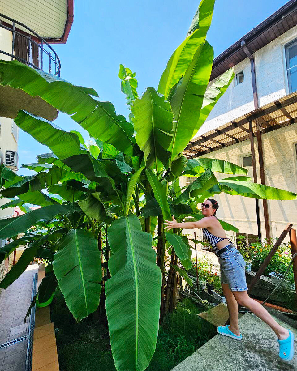 Фото Villa Terrasa