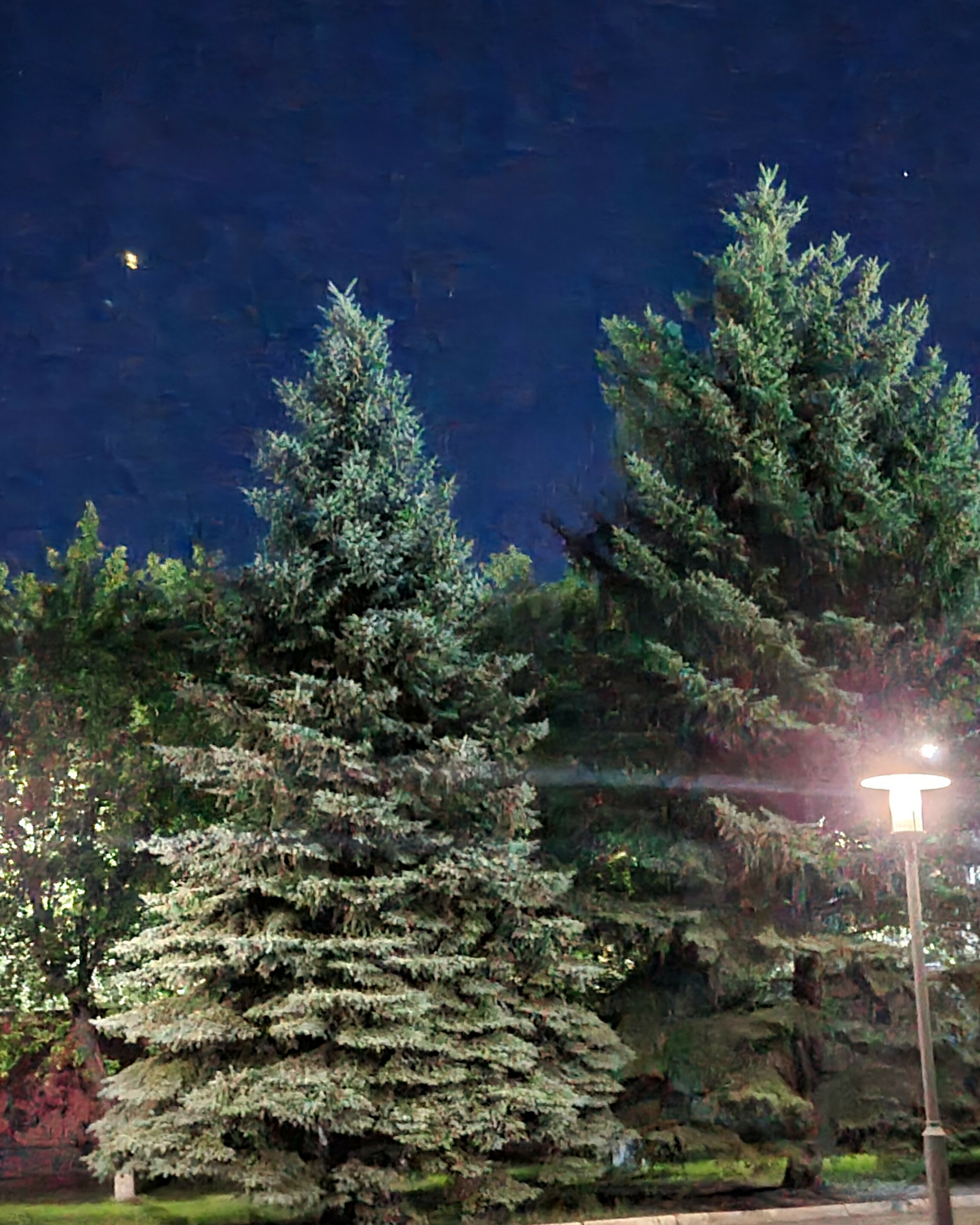 Фото Амилия