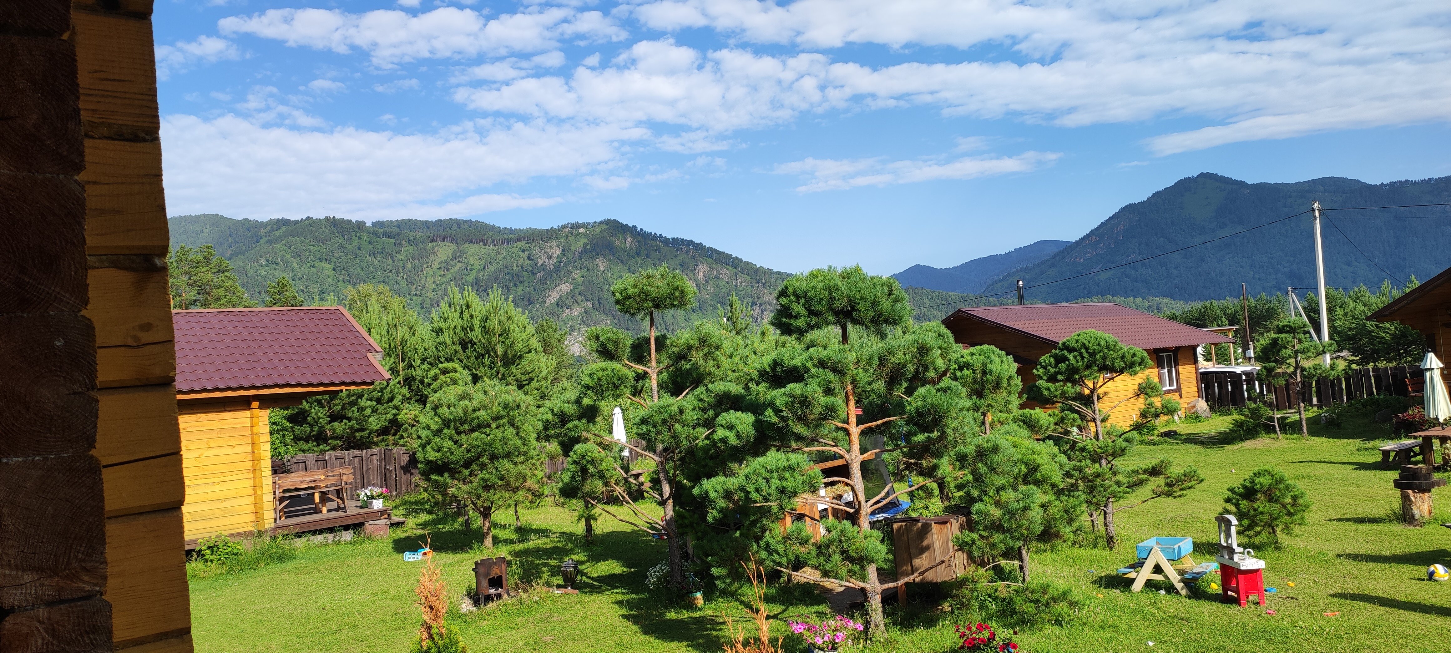 Фото Баюта Алтай