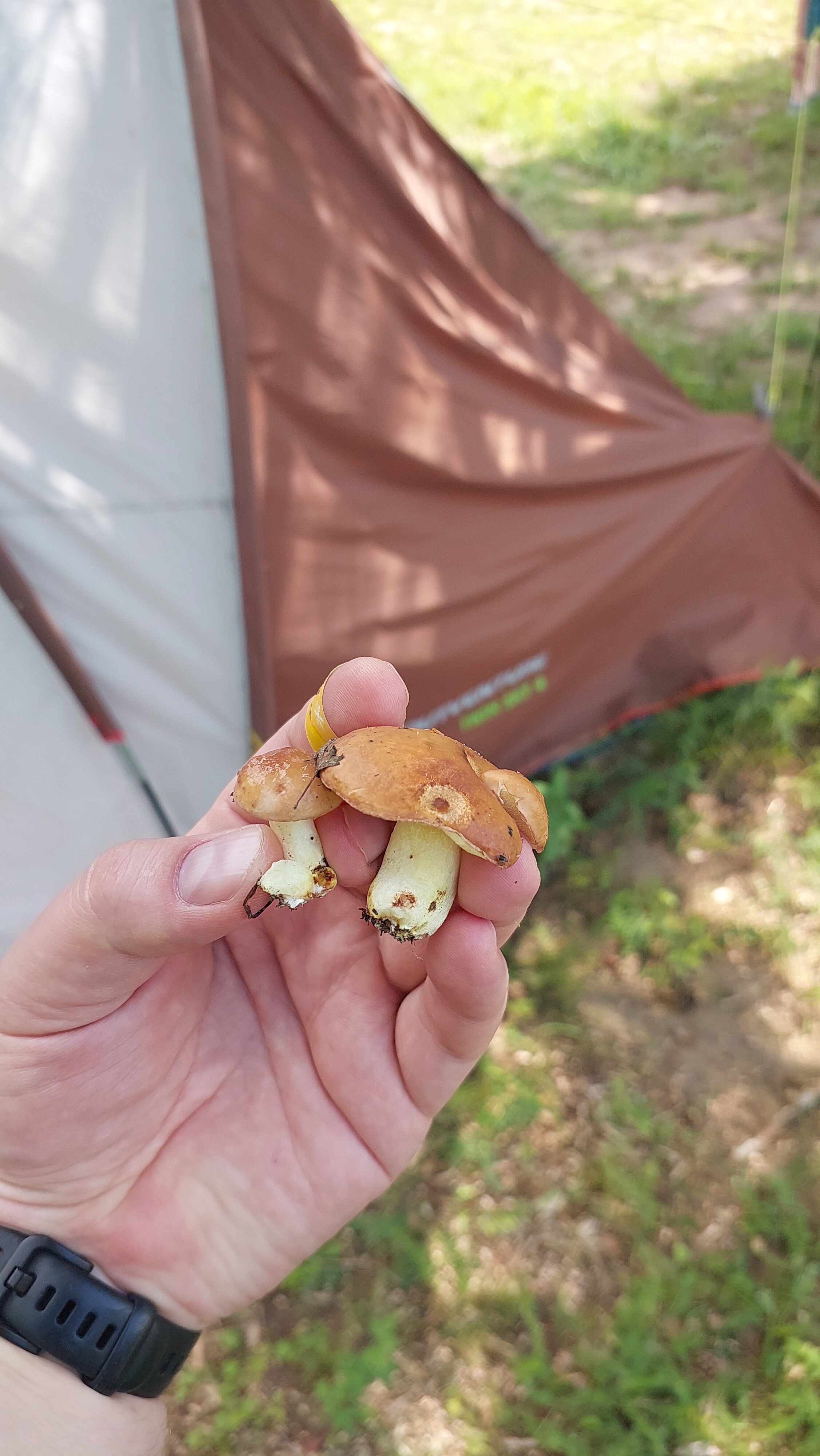 Фото Окское Колесо