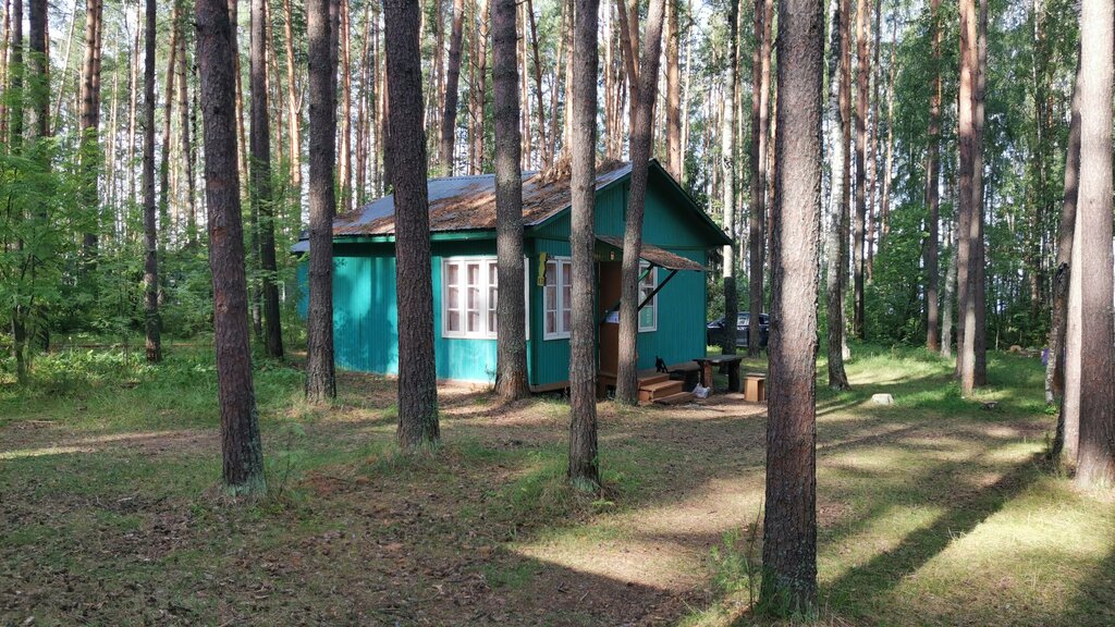 База, дом отдыха Сол Ждановец, Нижегородская область, фото