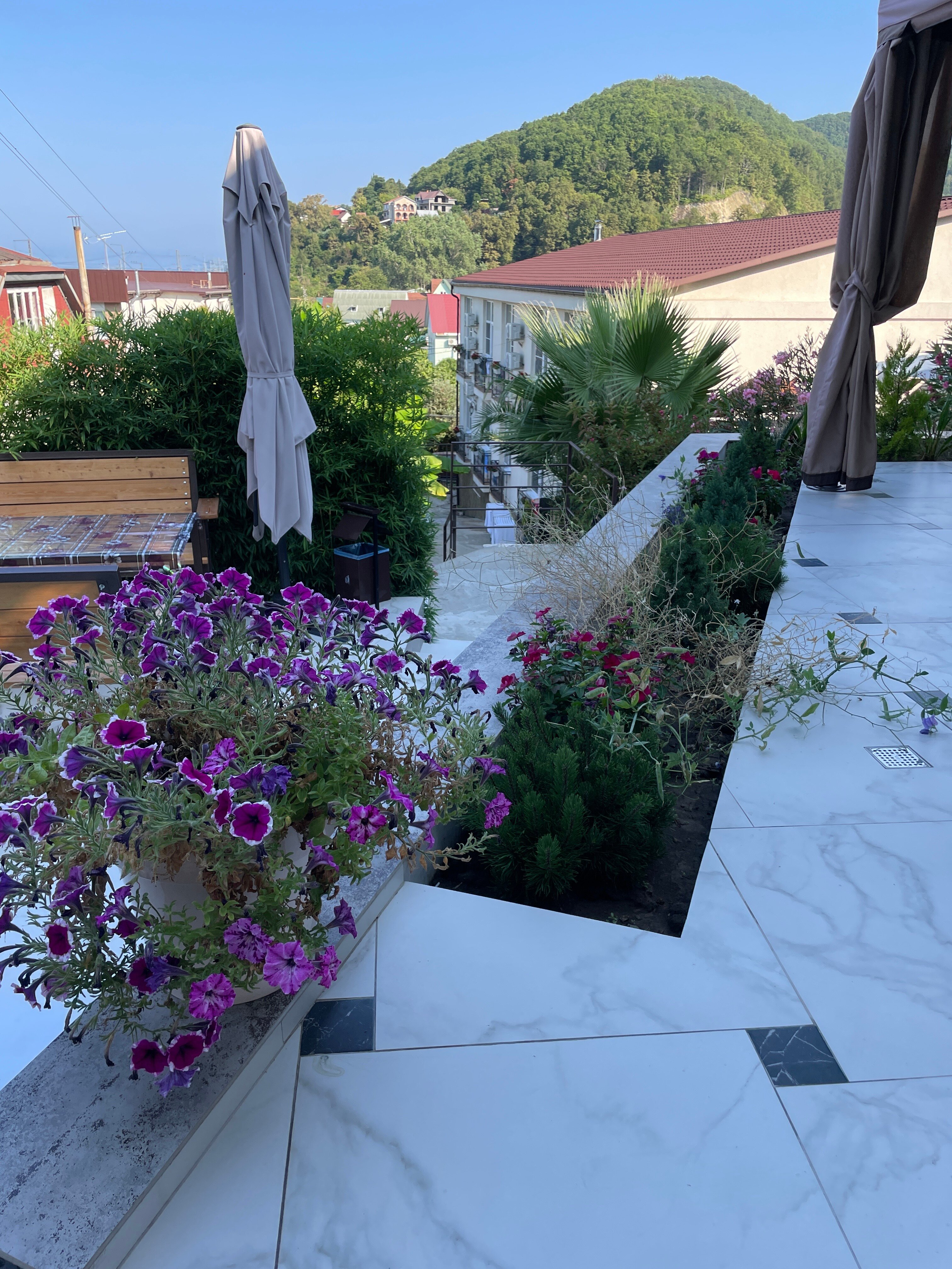 Фото Камбала