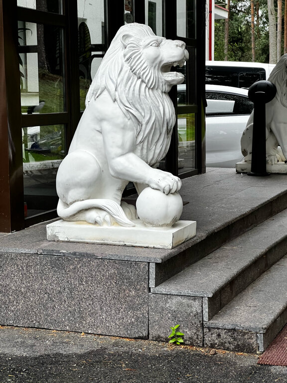 Фото Яккима