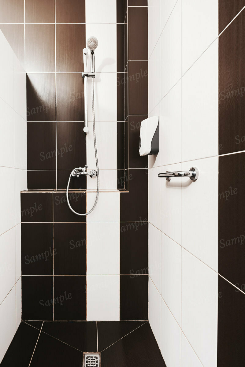 Фото Подсолнух