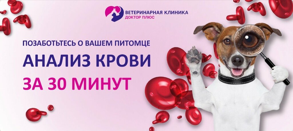 Цены "Доктор плюс" в Ижевске - Яндекс Карты