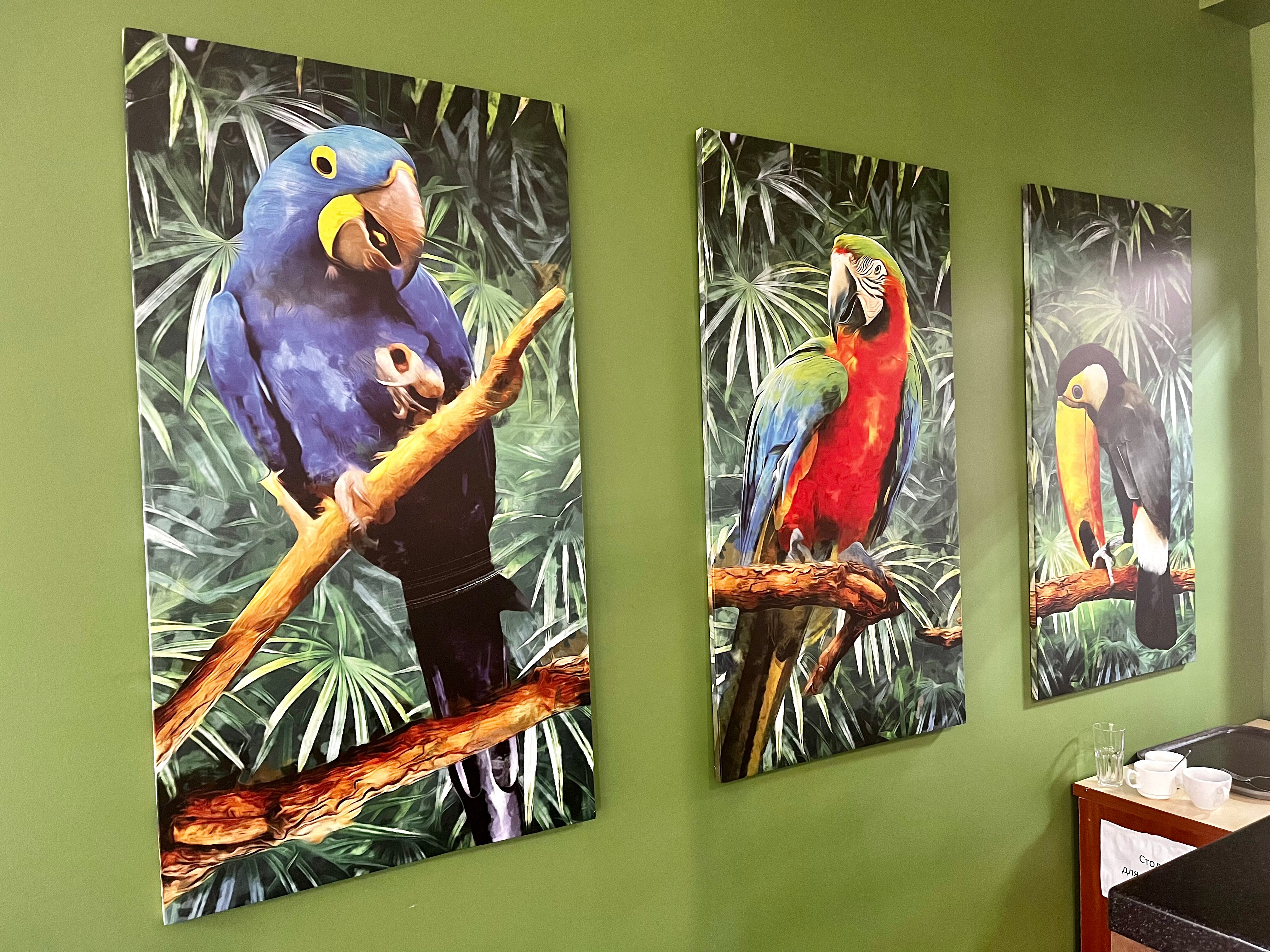 Фото Оливия