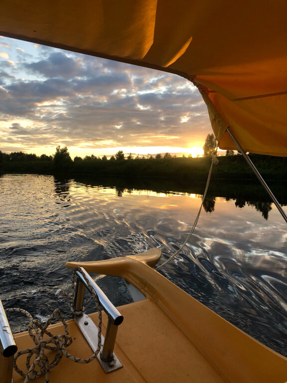 Фото Медведица Шанти