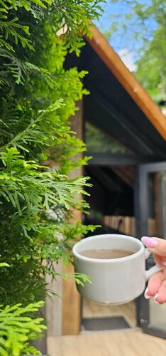 Дом отдыха Koban SPA в Республике Северная Осетия — Алания