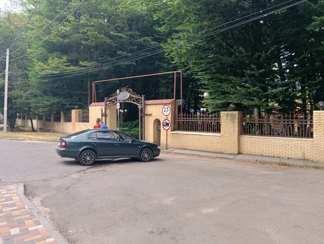 Фото Лесная поляна