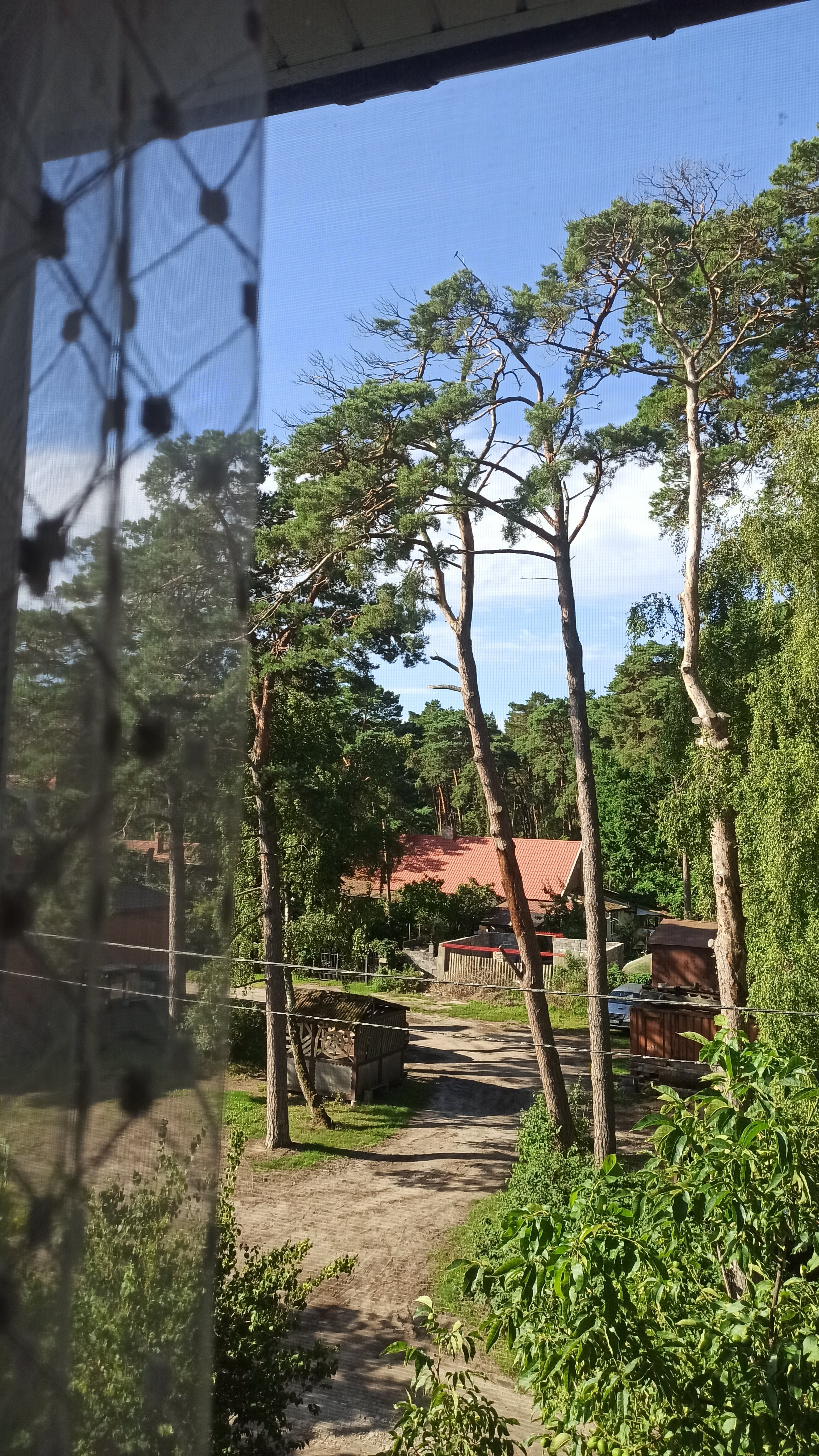 Фото Понарт