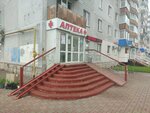 Шексна-Фарма (Nasedkina Street, 2), pharmacy