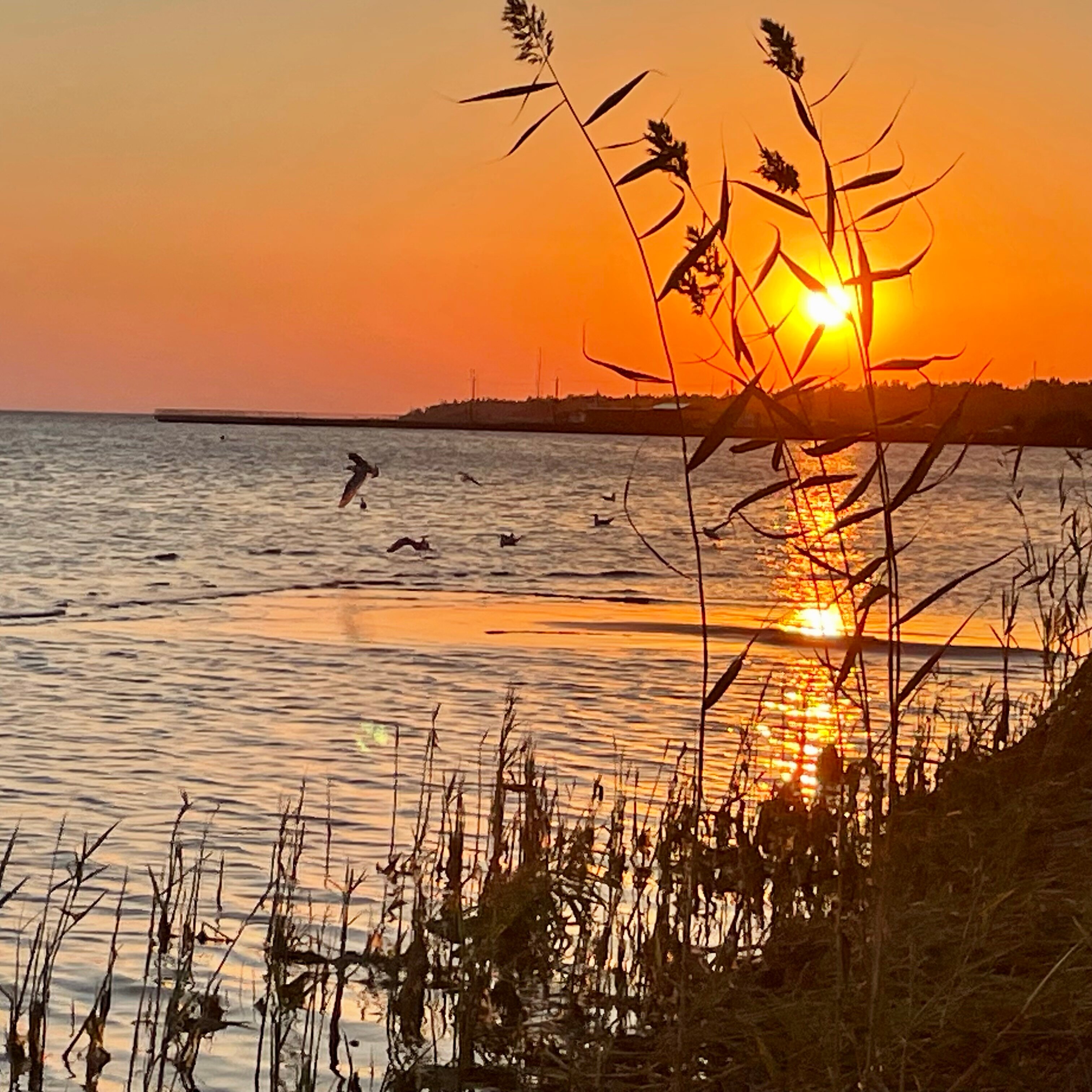 Фото Гостиница Ленинградская АЭС-Авто