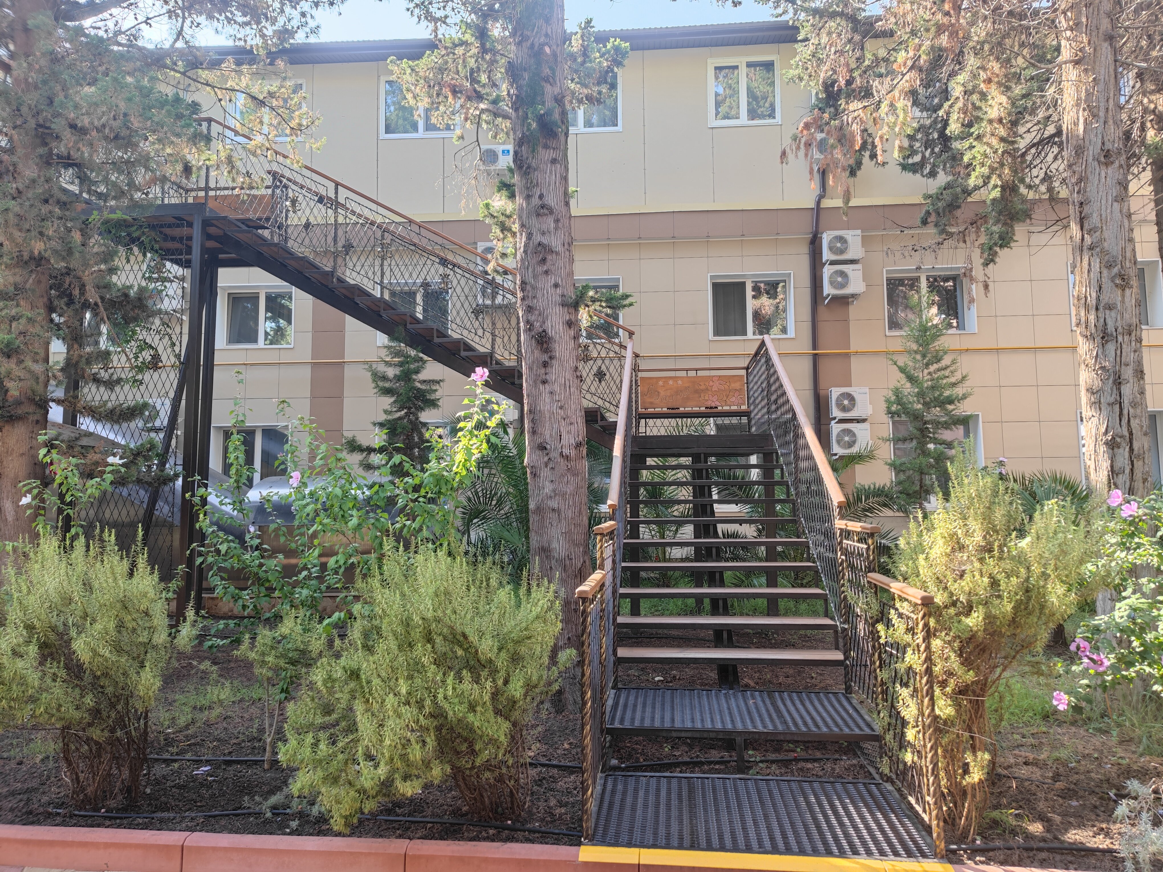 Фото Азалия