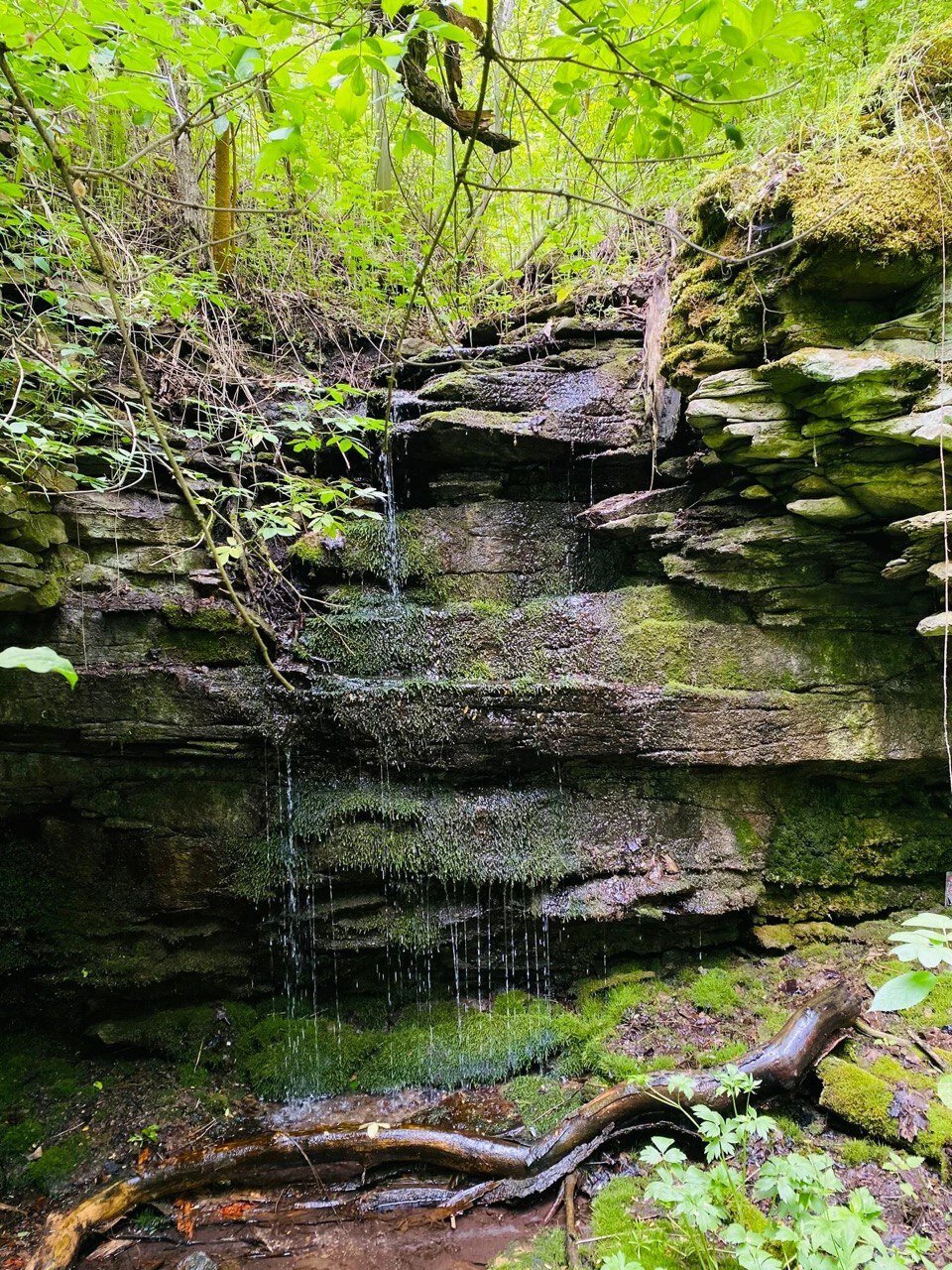 Фото СтепнаяЗдравница
