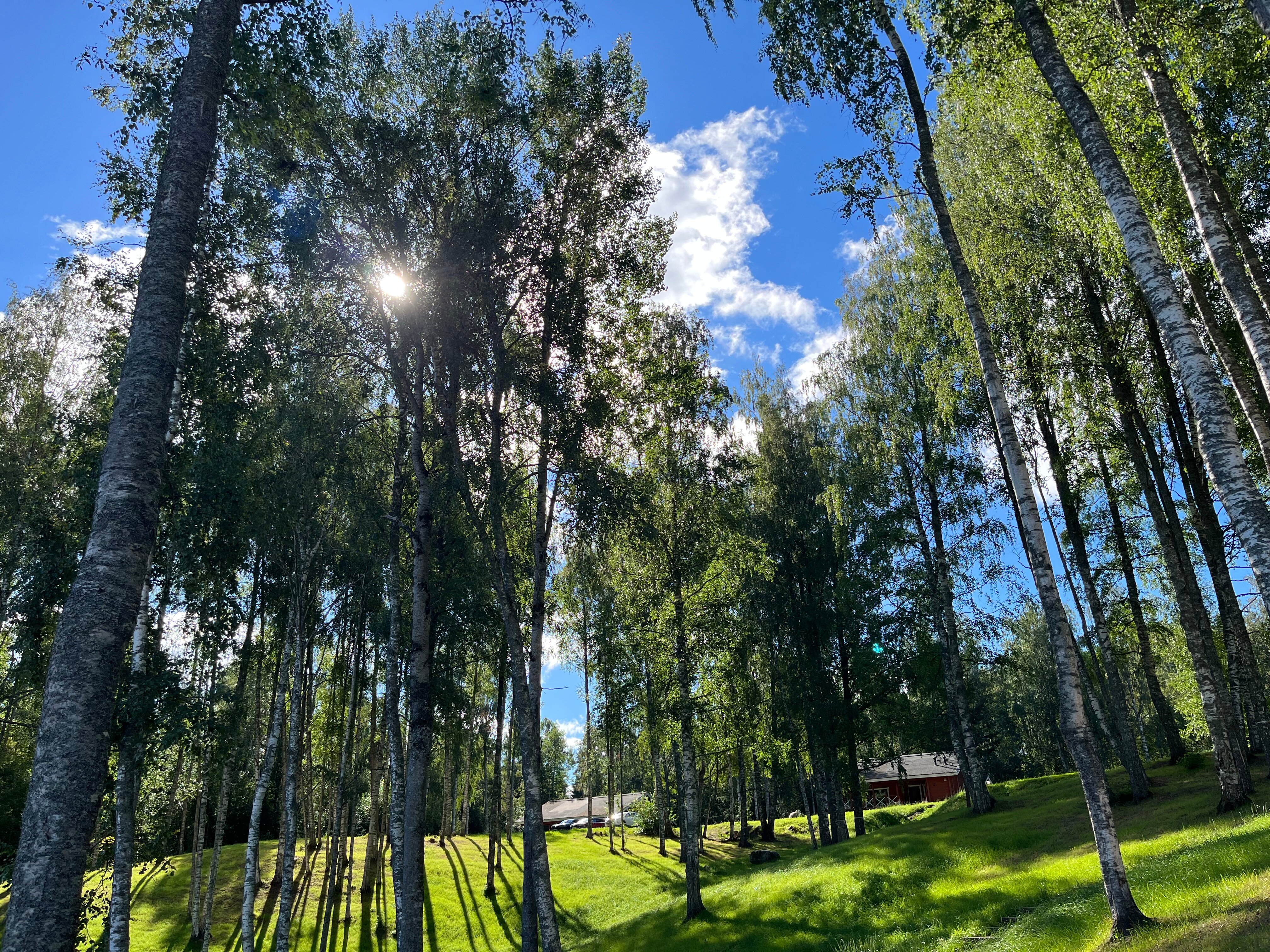 Фото Вохотка