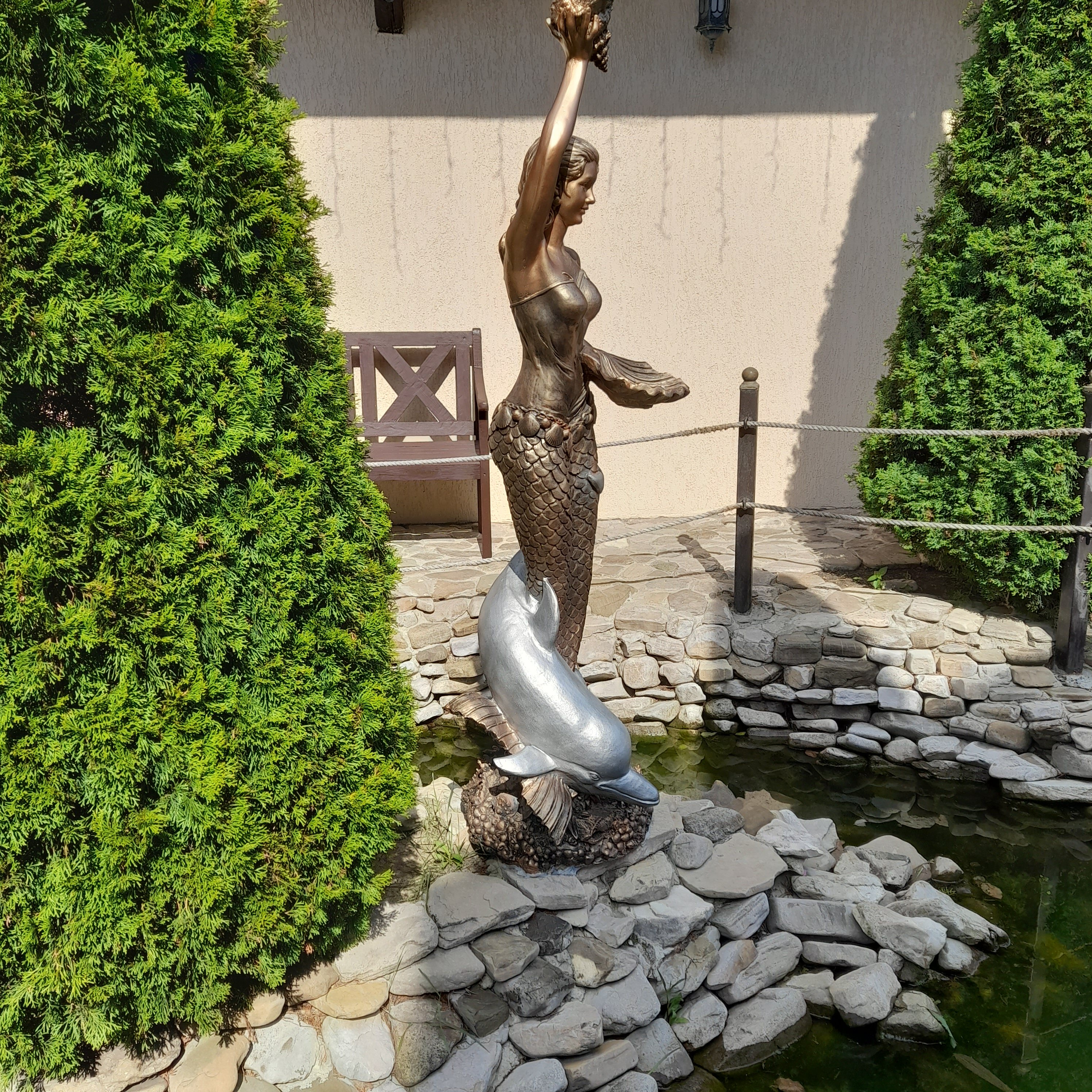 Фото Анютины Глазки