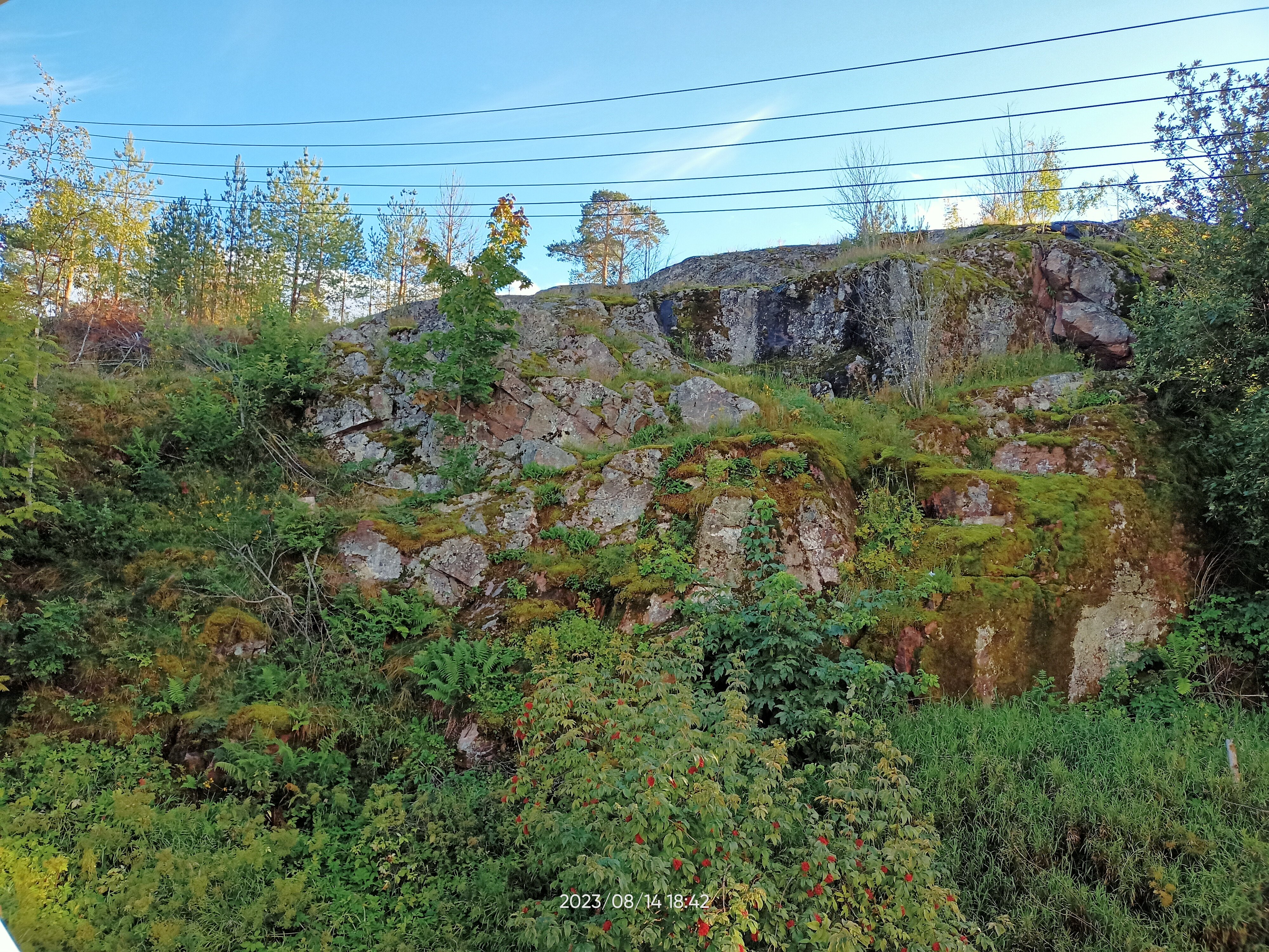 Фото Благодать