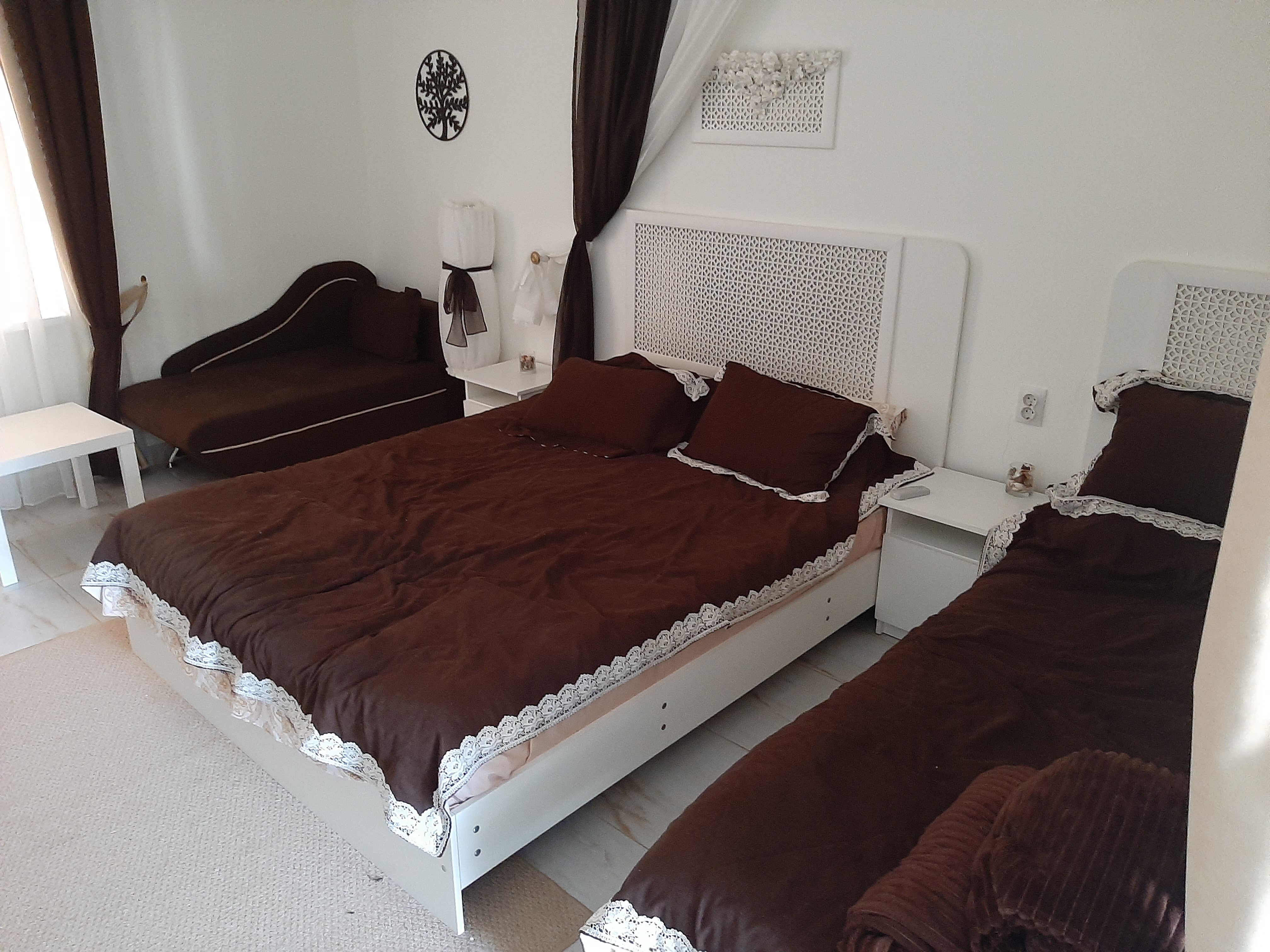 Фото Морская звезда