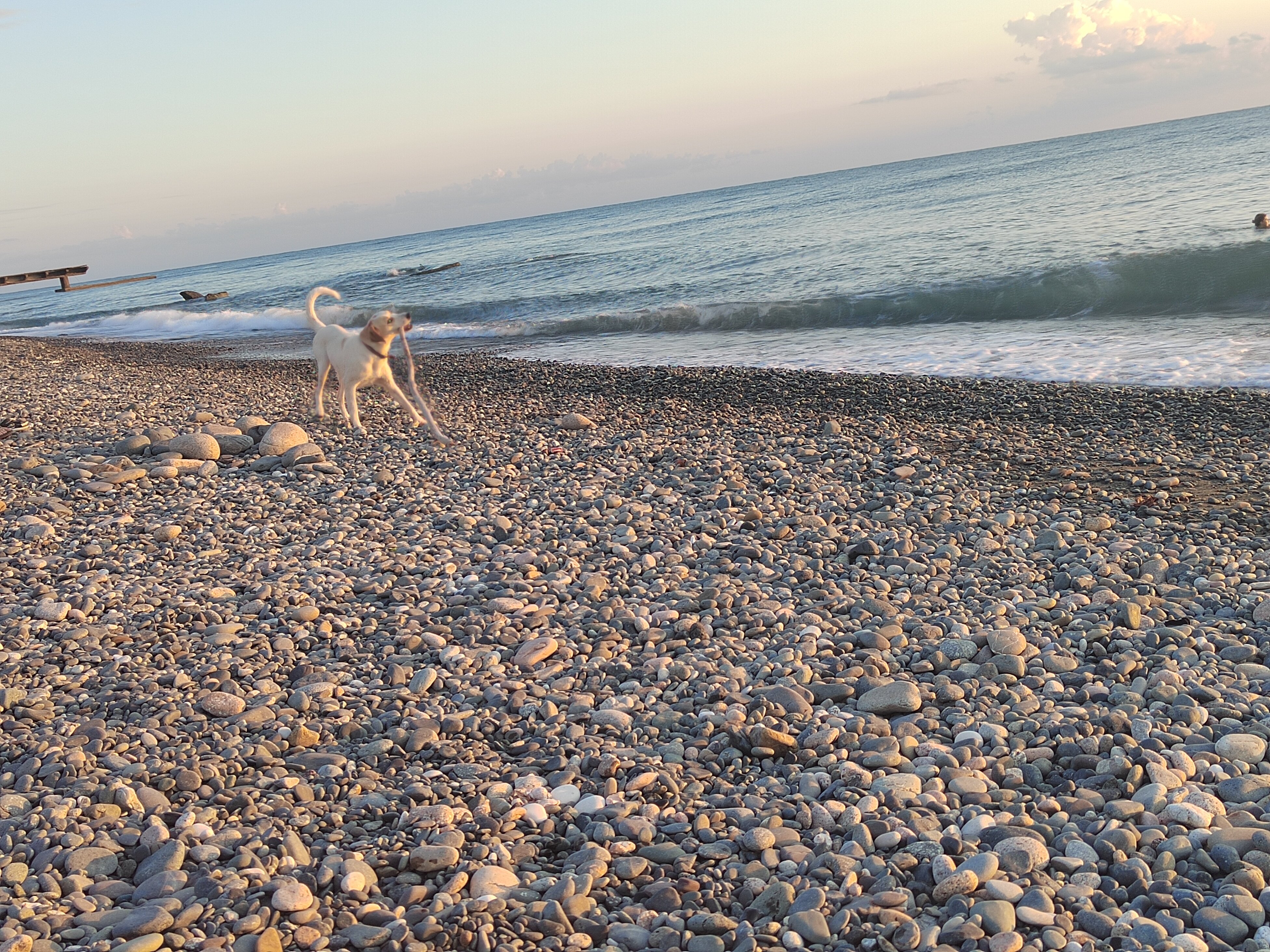 Фото Мандариновый берег