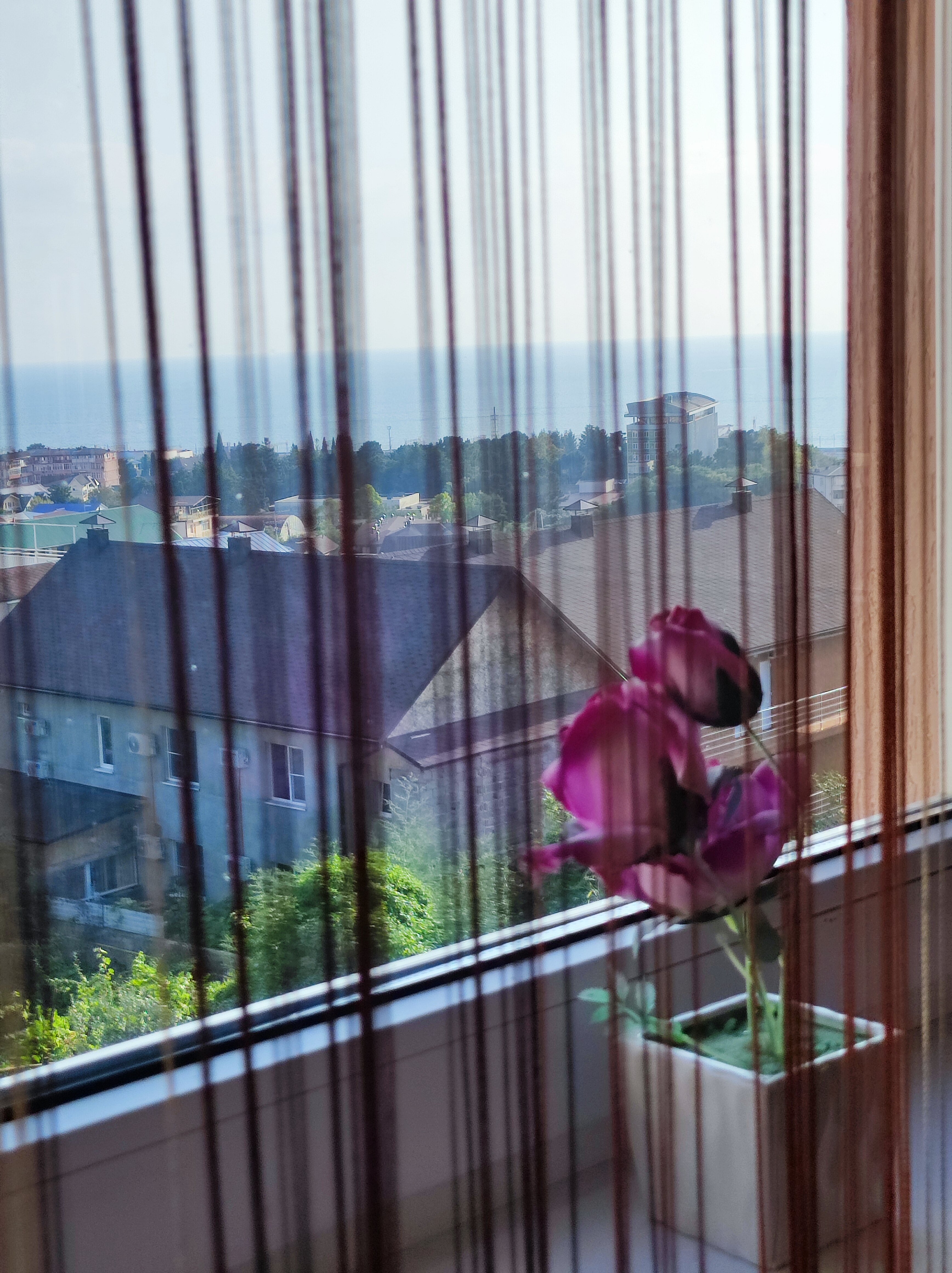 Фото Море Лето