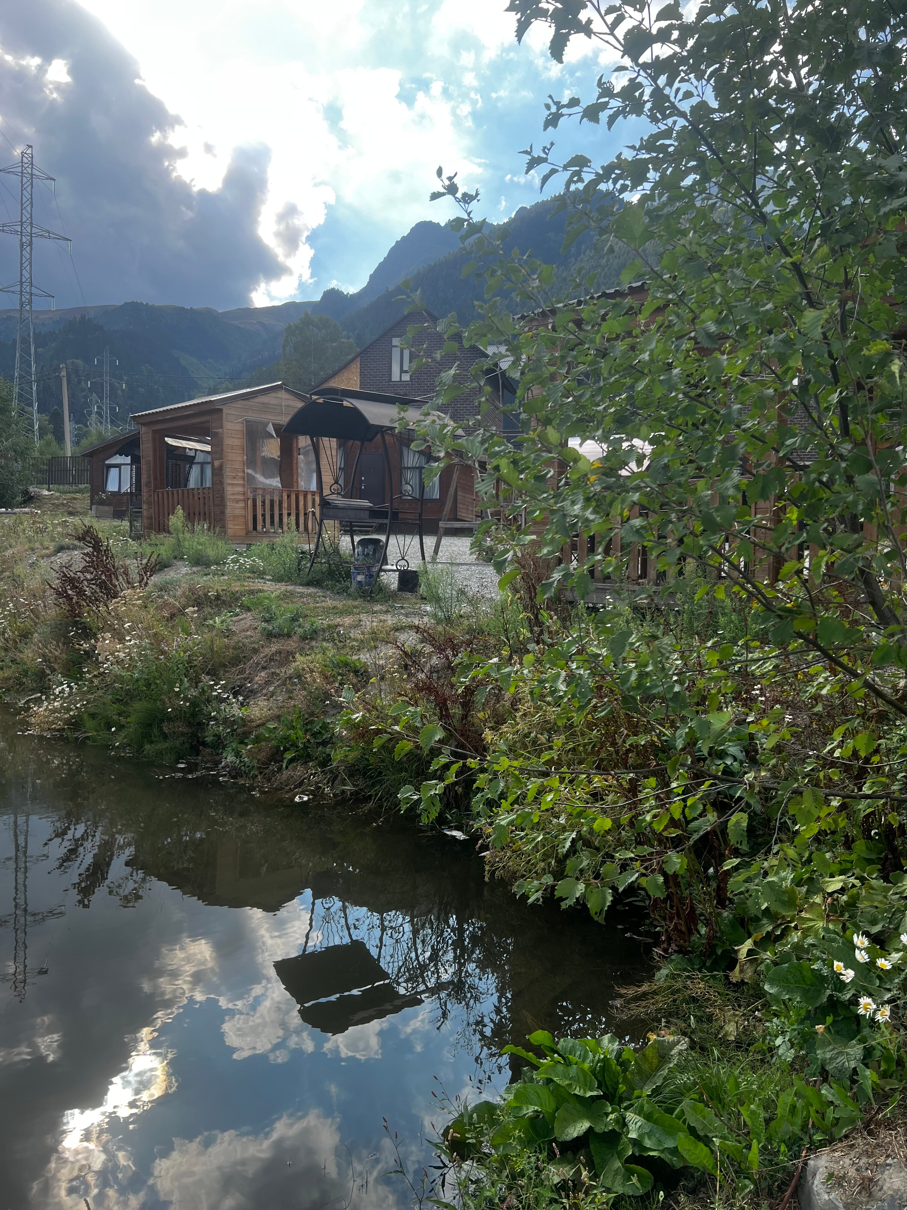 Фото Дикая груша