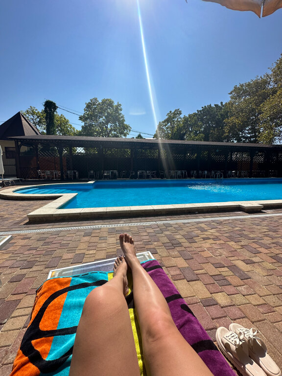 Фото Кипарис