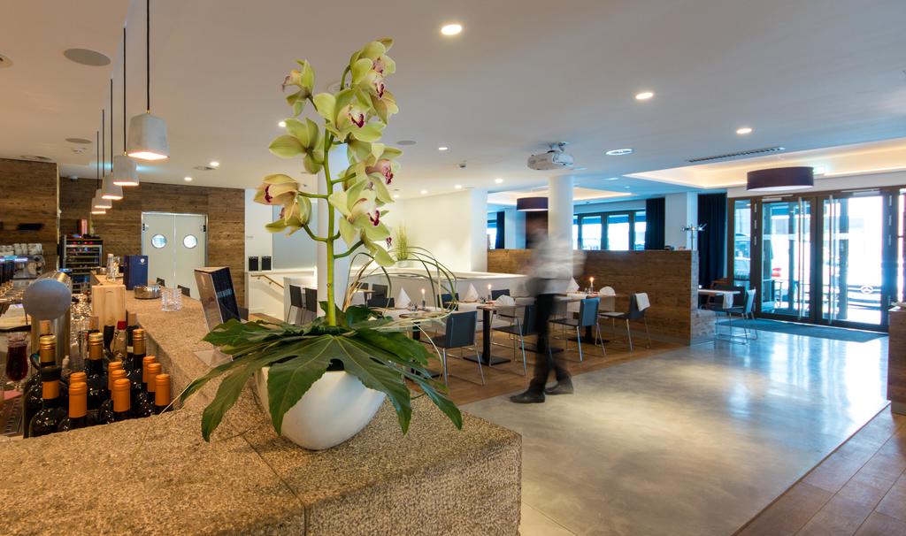 Фото Bayer 89 VI Vadi 