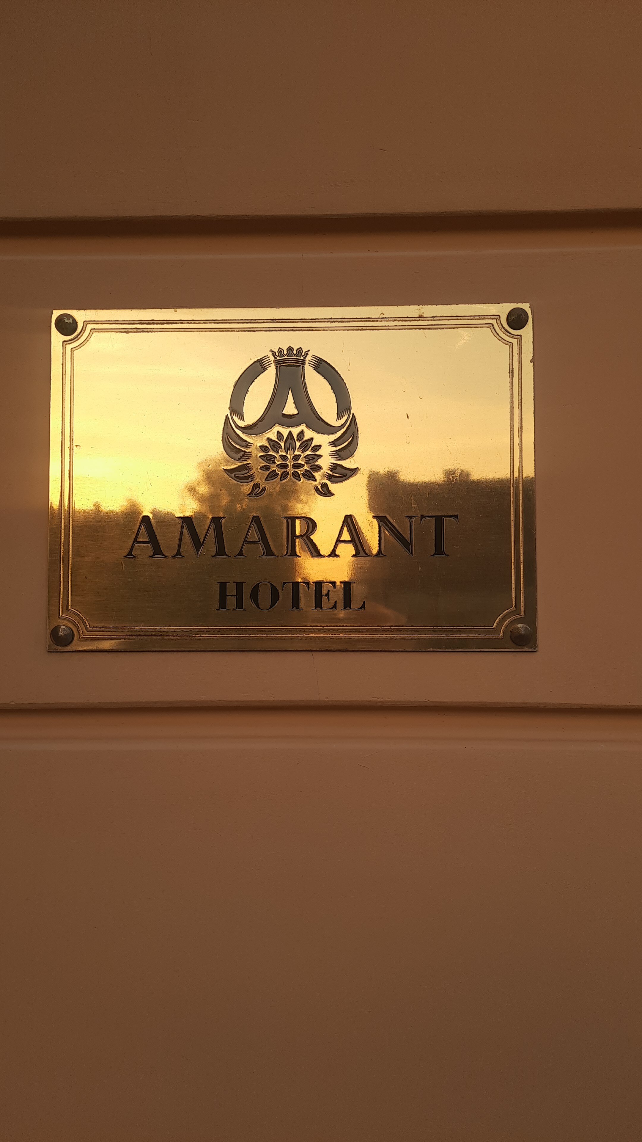 Фото Амарант