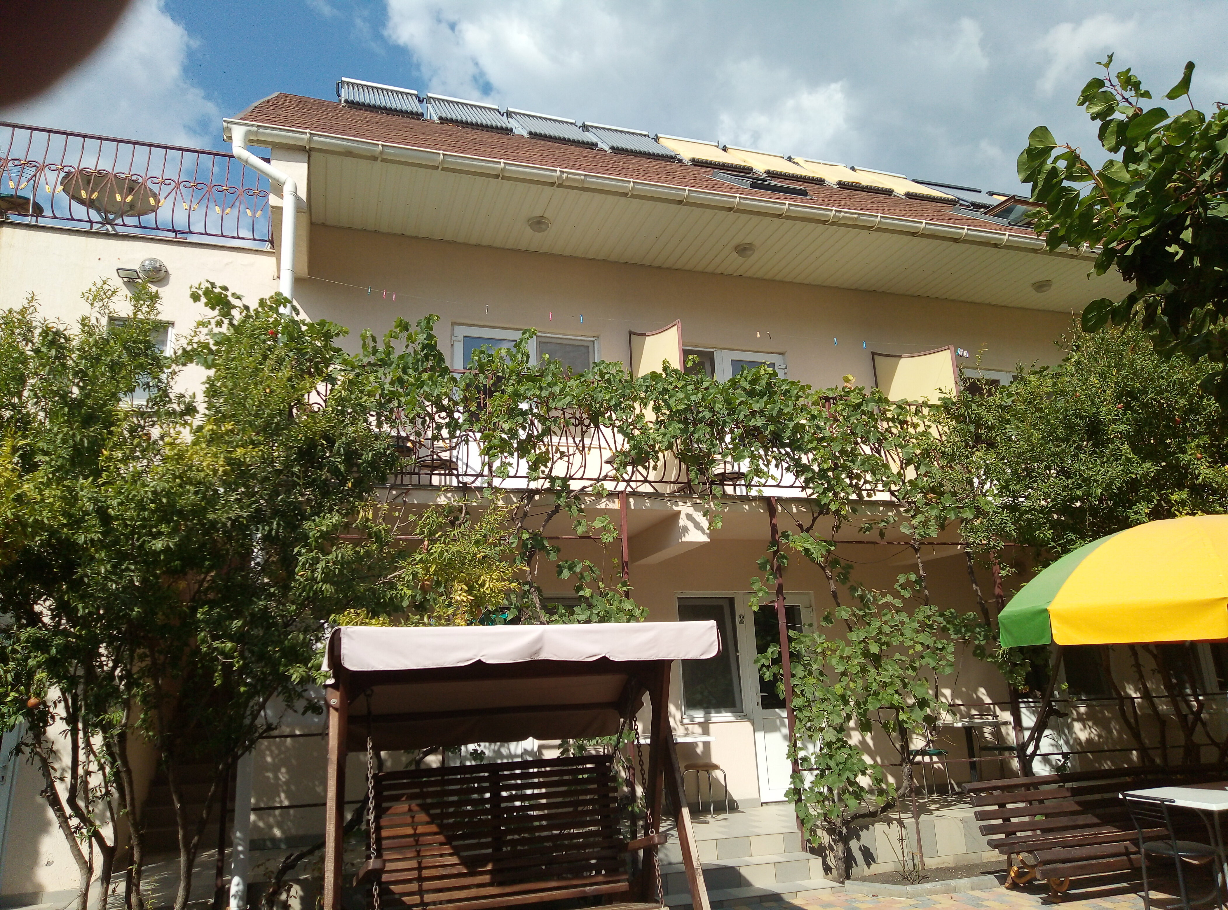 Фото Кипарис