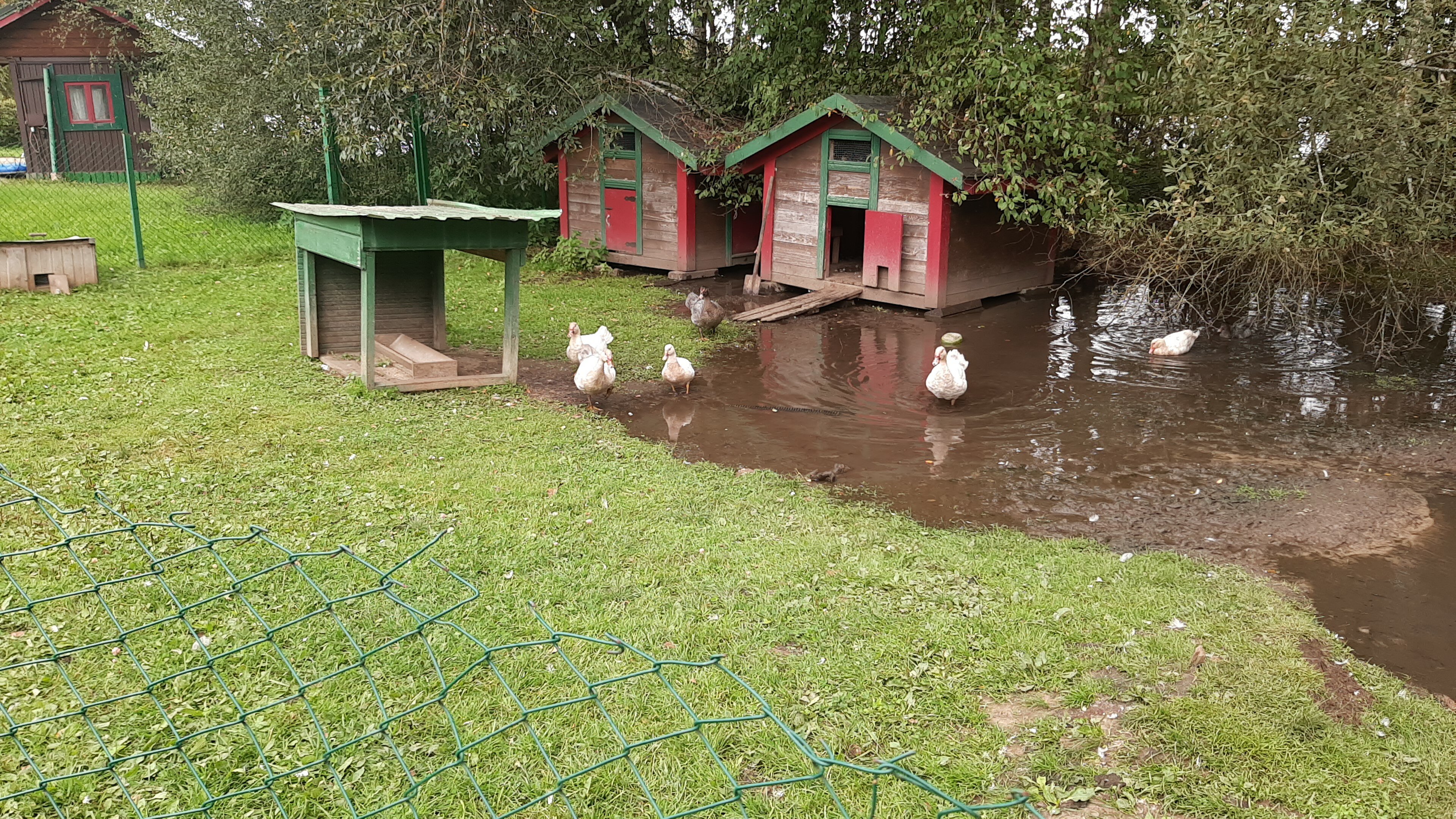 Фото Большая Волга