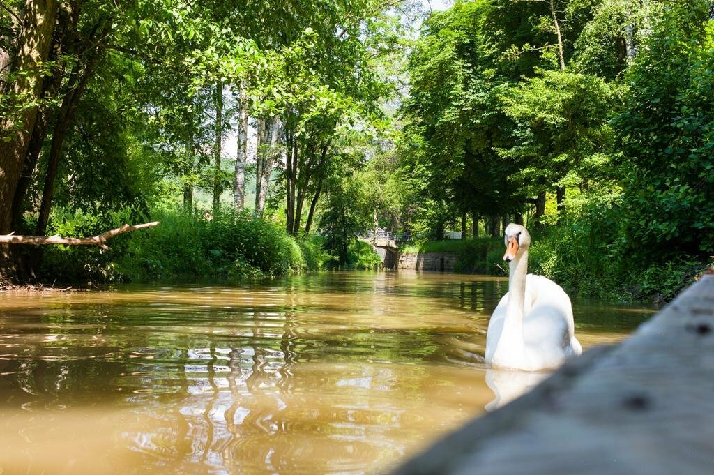 Фото Hotel Kaiserhof Victoria