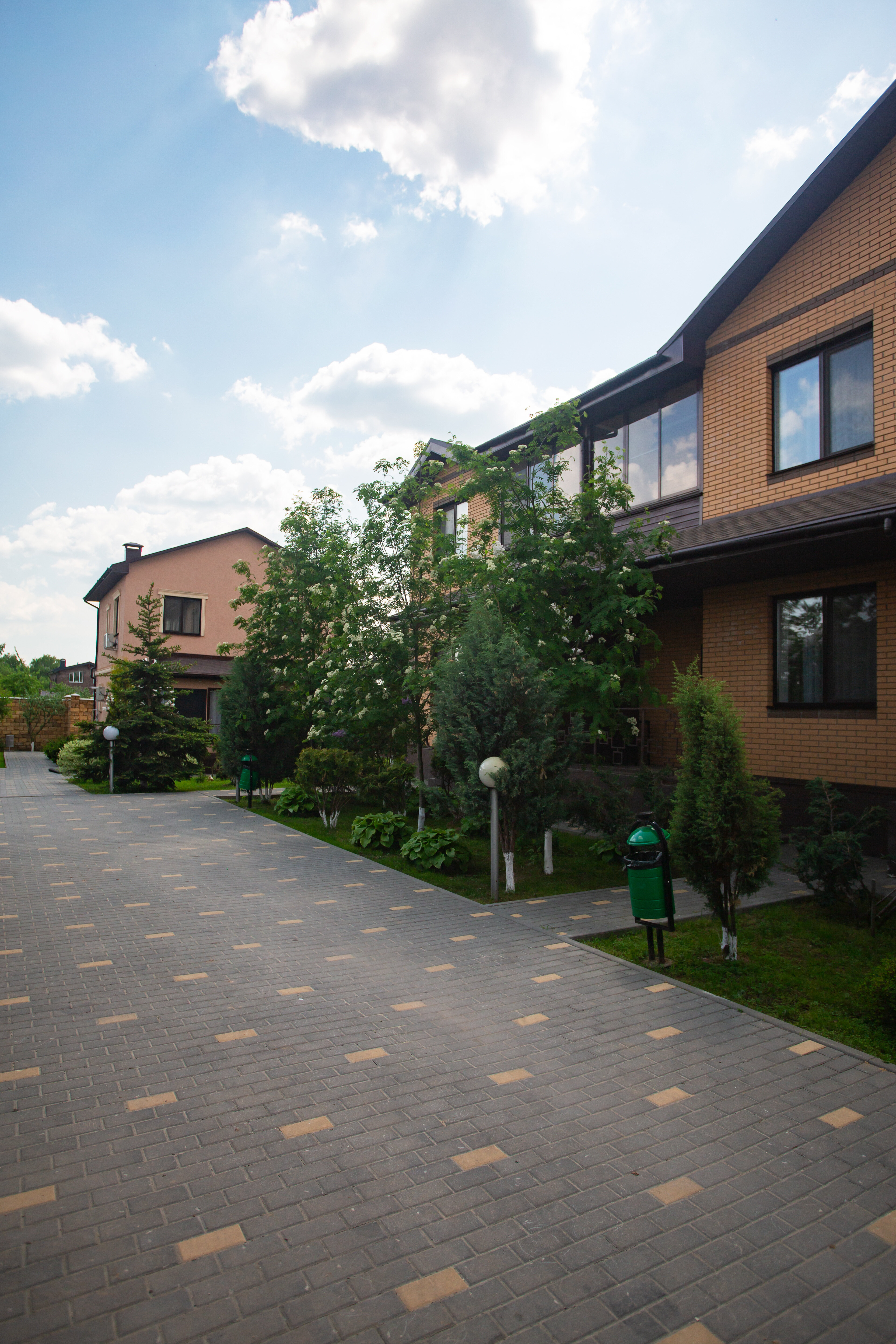 Фото Тополя