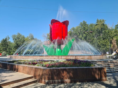 Виагра тобының эротикалық фотосы