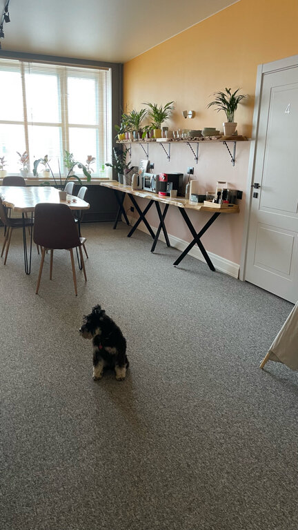 Фото Лесная Ванна