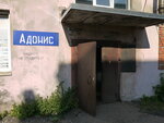Adonis (Obvodnogo Kanala Embankment, 148к2Д), metalwork