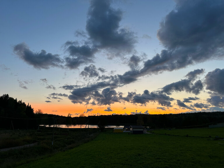 Фото Утиная история