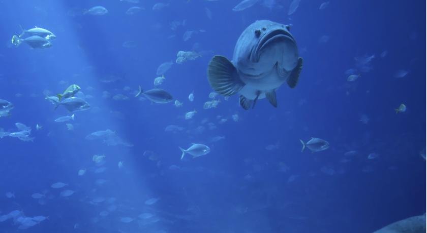 Фото Shilla Stay Haeundae