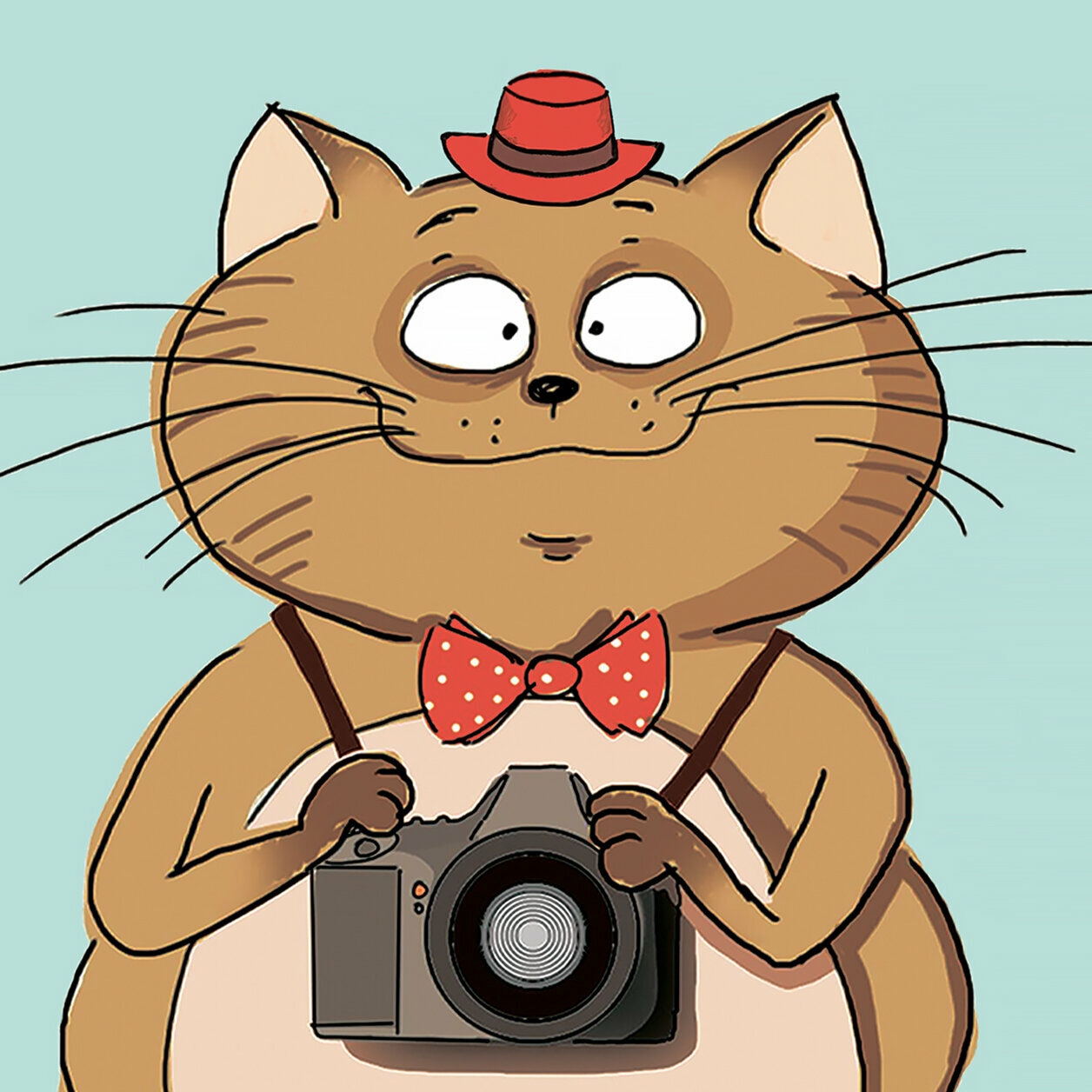 Фотокот