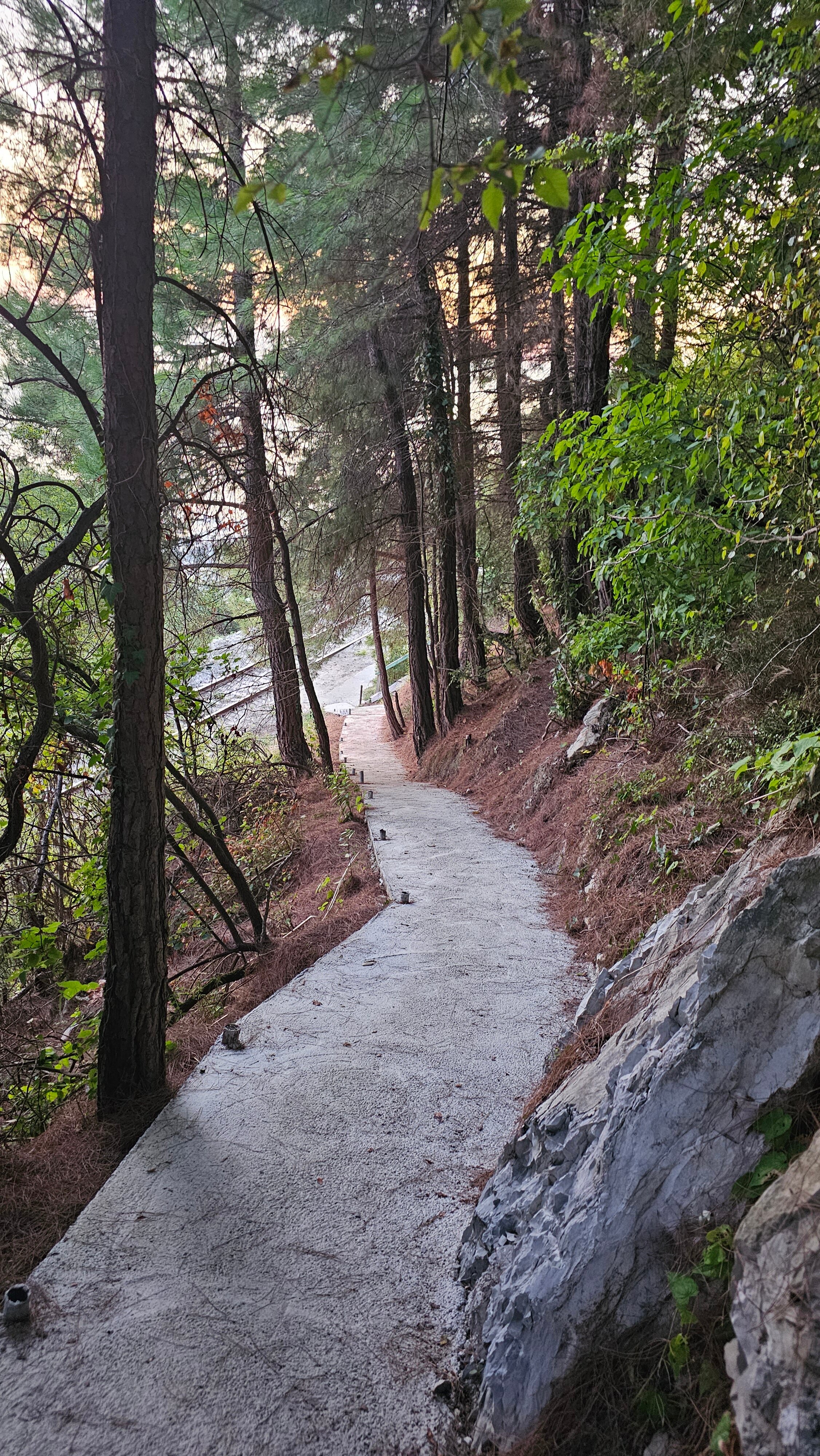 Фото Гостевой дом Ника
