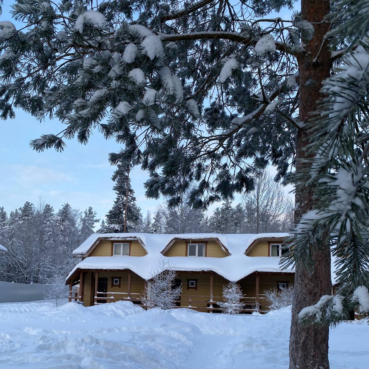 Фото Мичуринский дворик