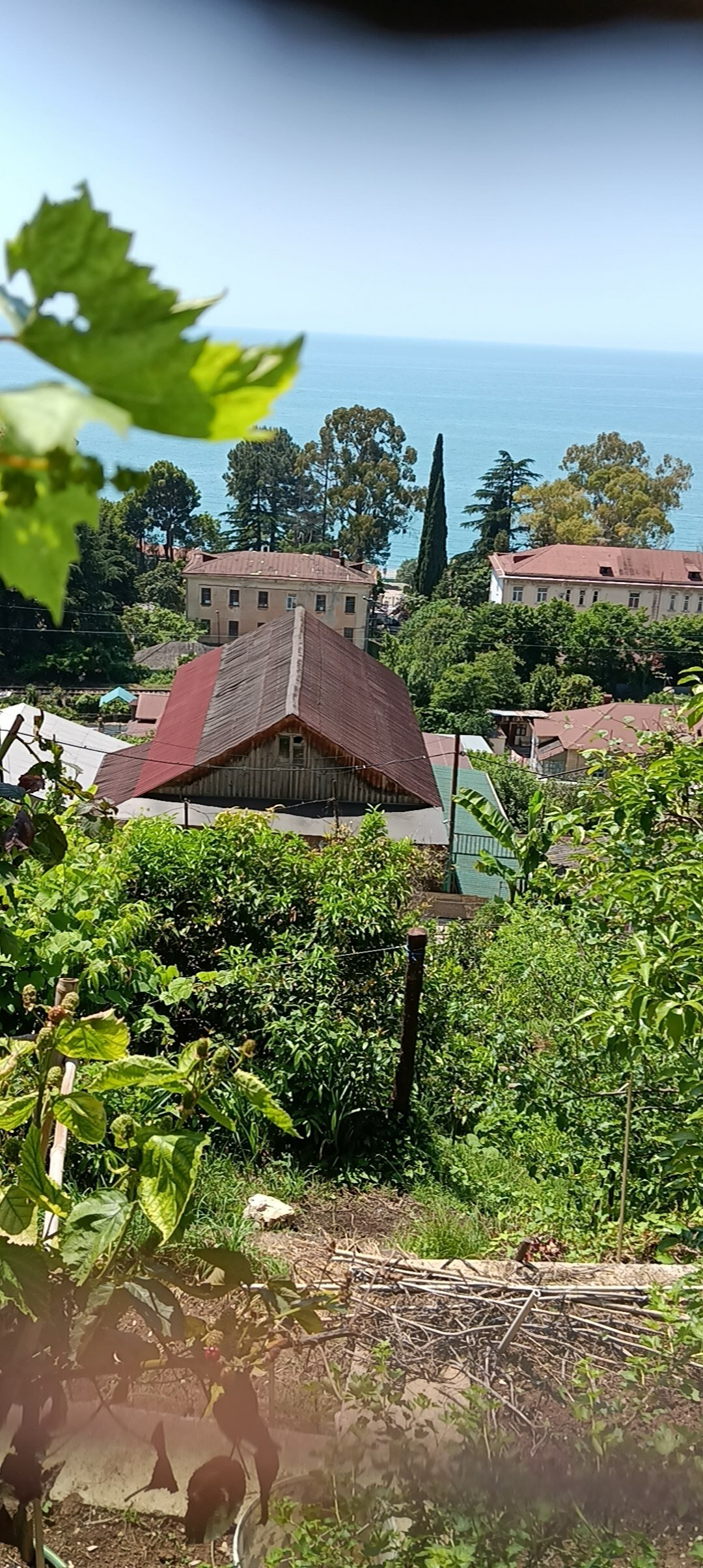 Фото Сказка