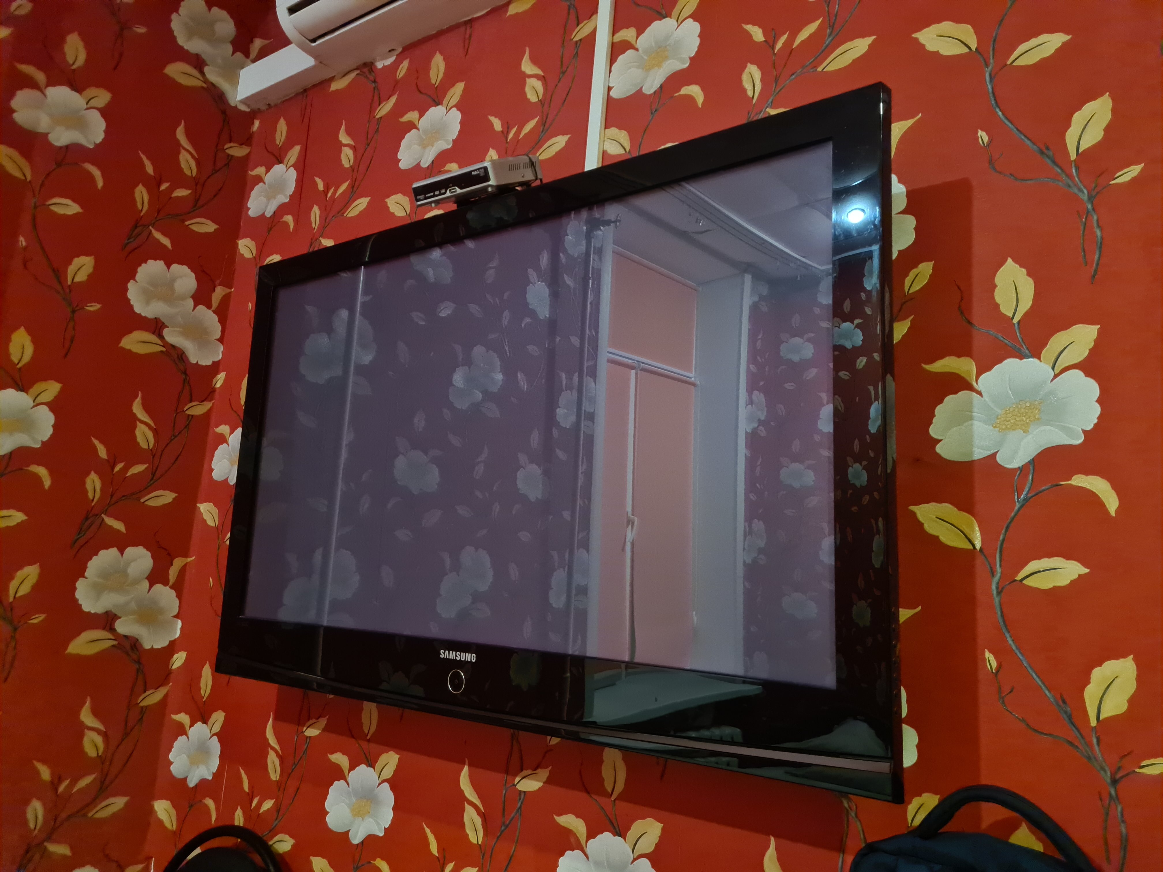 Фото Марсель