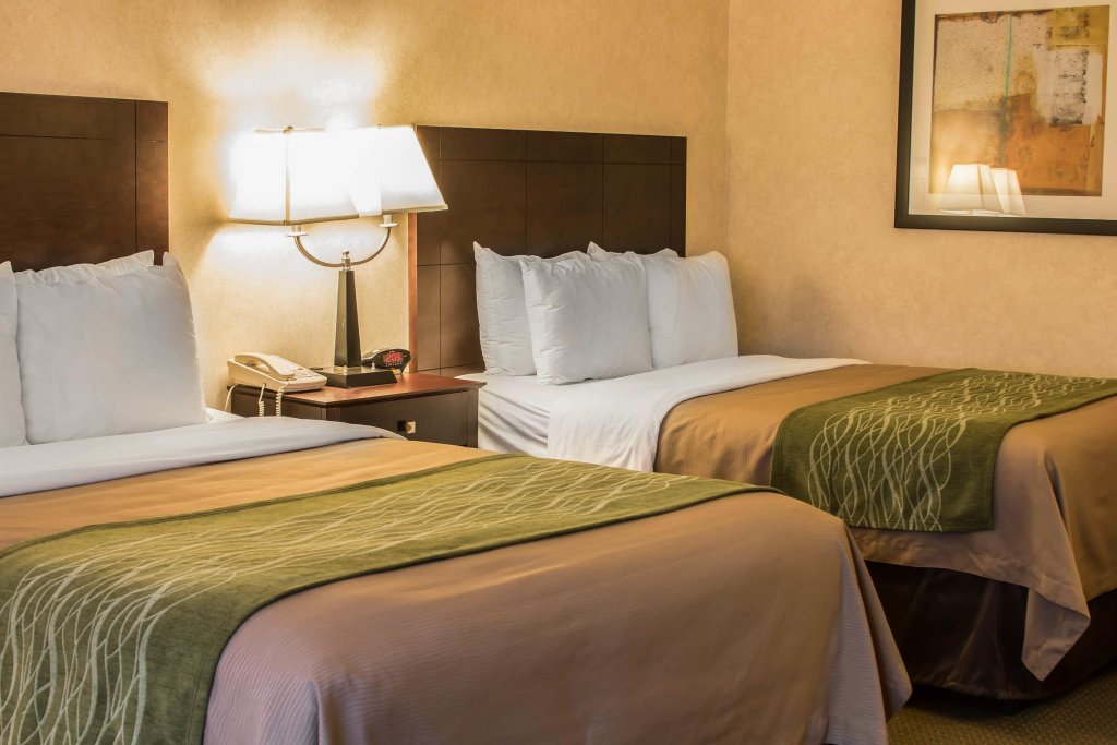 Фото Comfort Inn