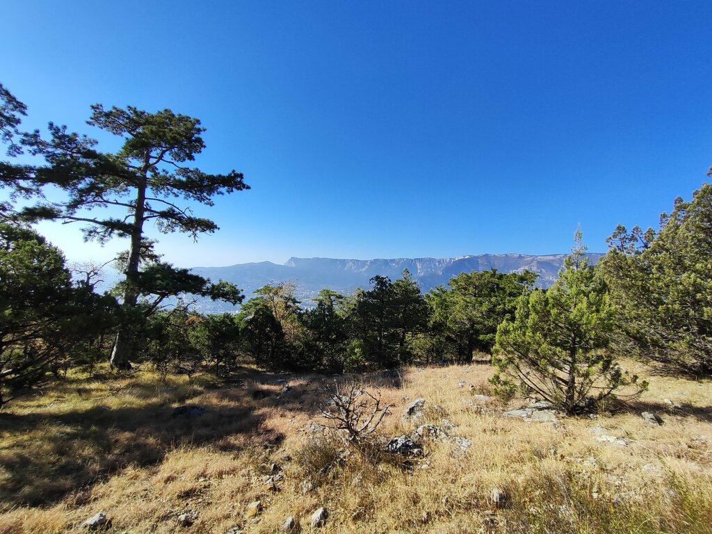 Nature Можжевеловая роща, Republic of Crimea, photo