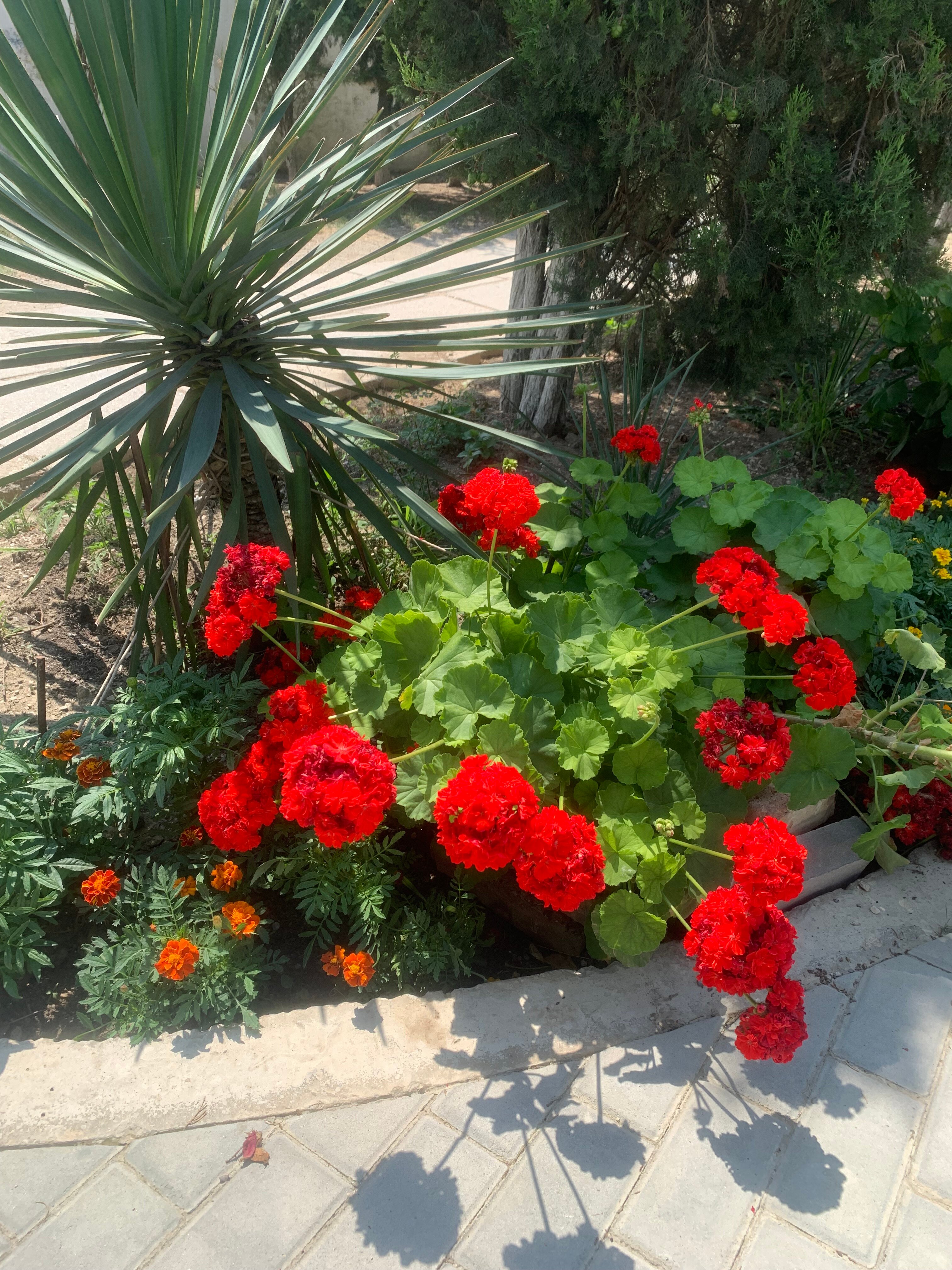 Фото Григорий