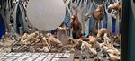 Trofimov Museum Priroda (selo Chernukha, ulitsa Lenina, 26) ، متحف