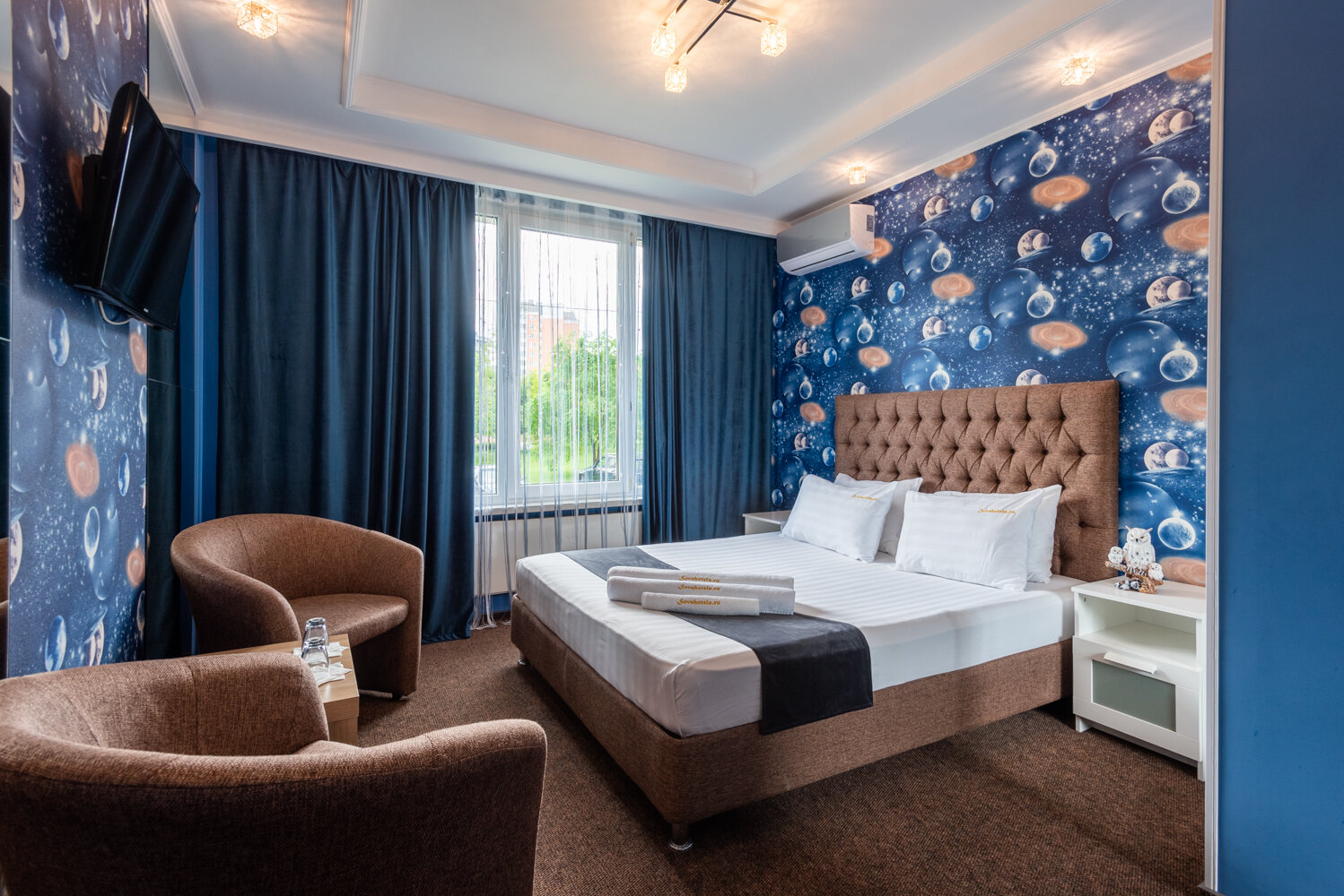 Фото Сова на Планерной