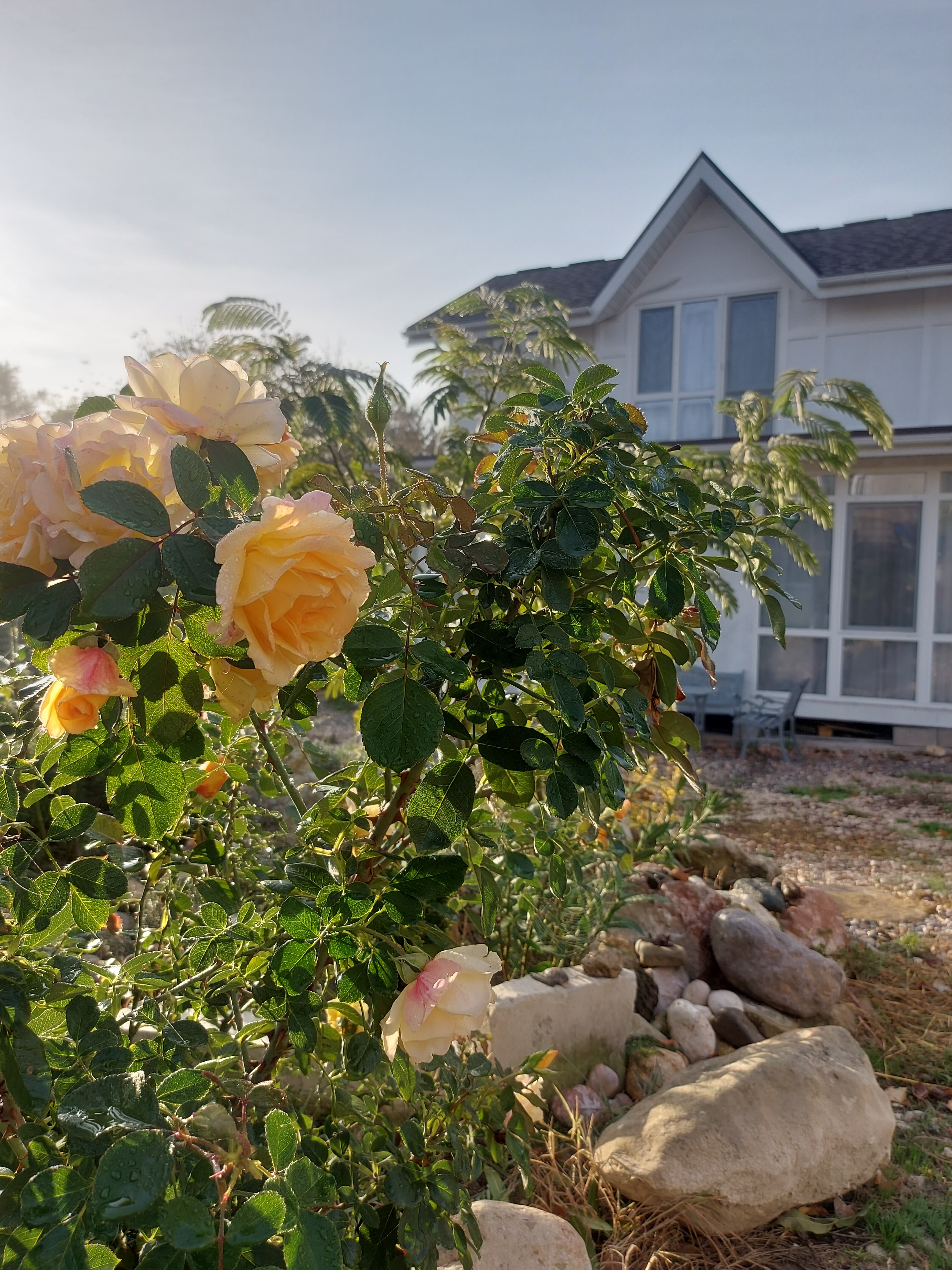 Фото Аморе Море