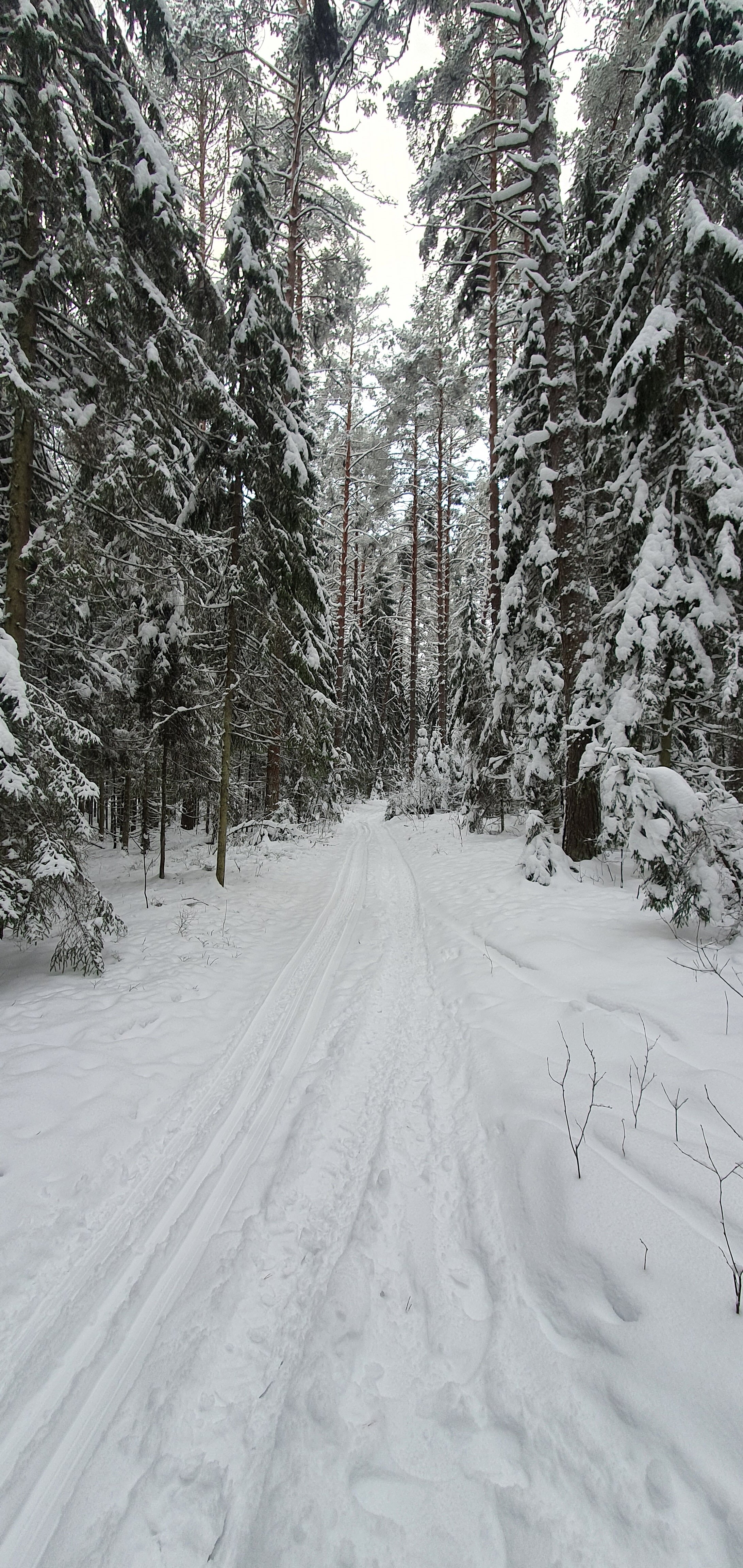 Фото Жили - Были